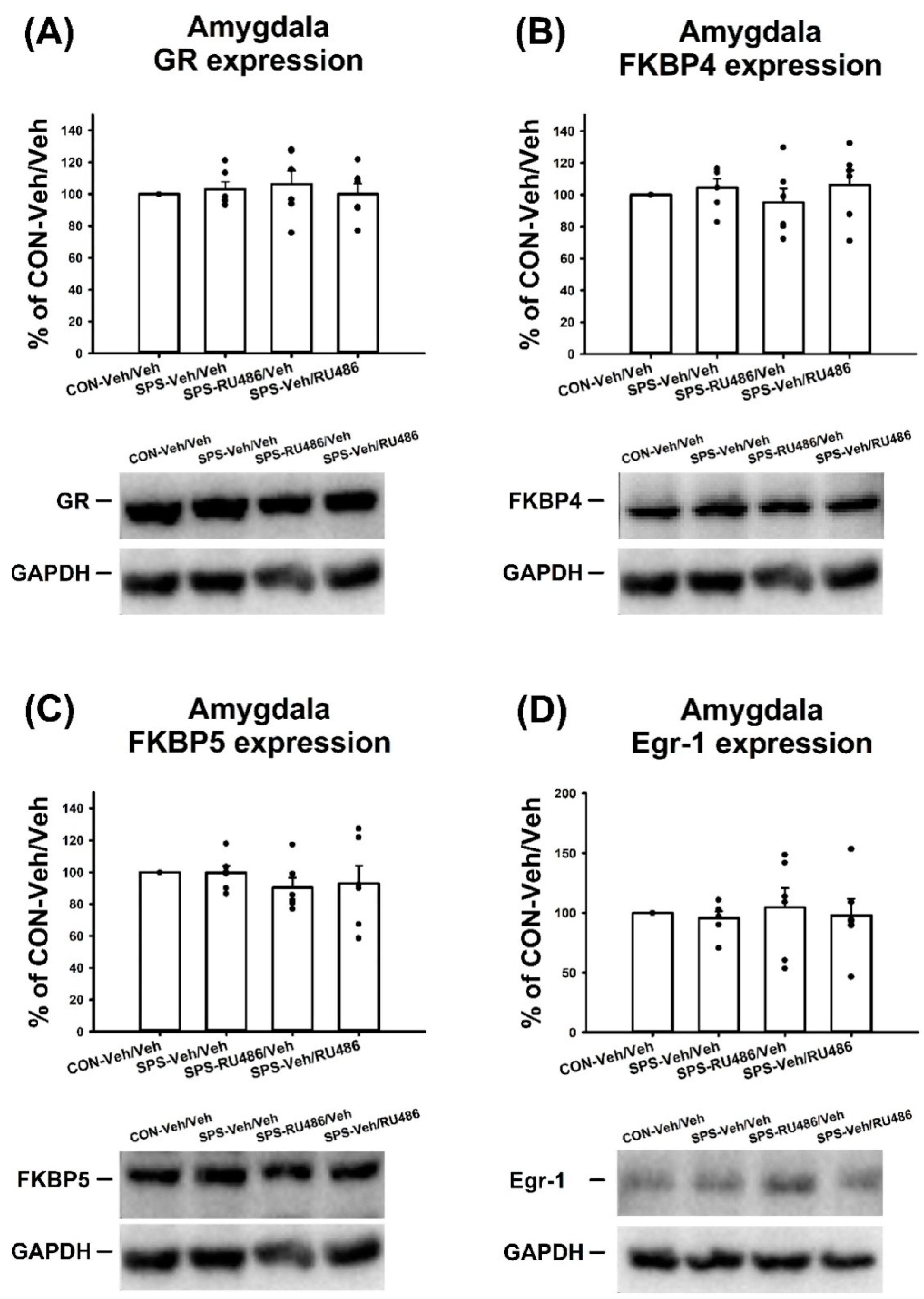 Ijms 23 05494 g005 Ijms 23 05494 g005