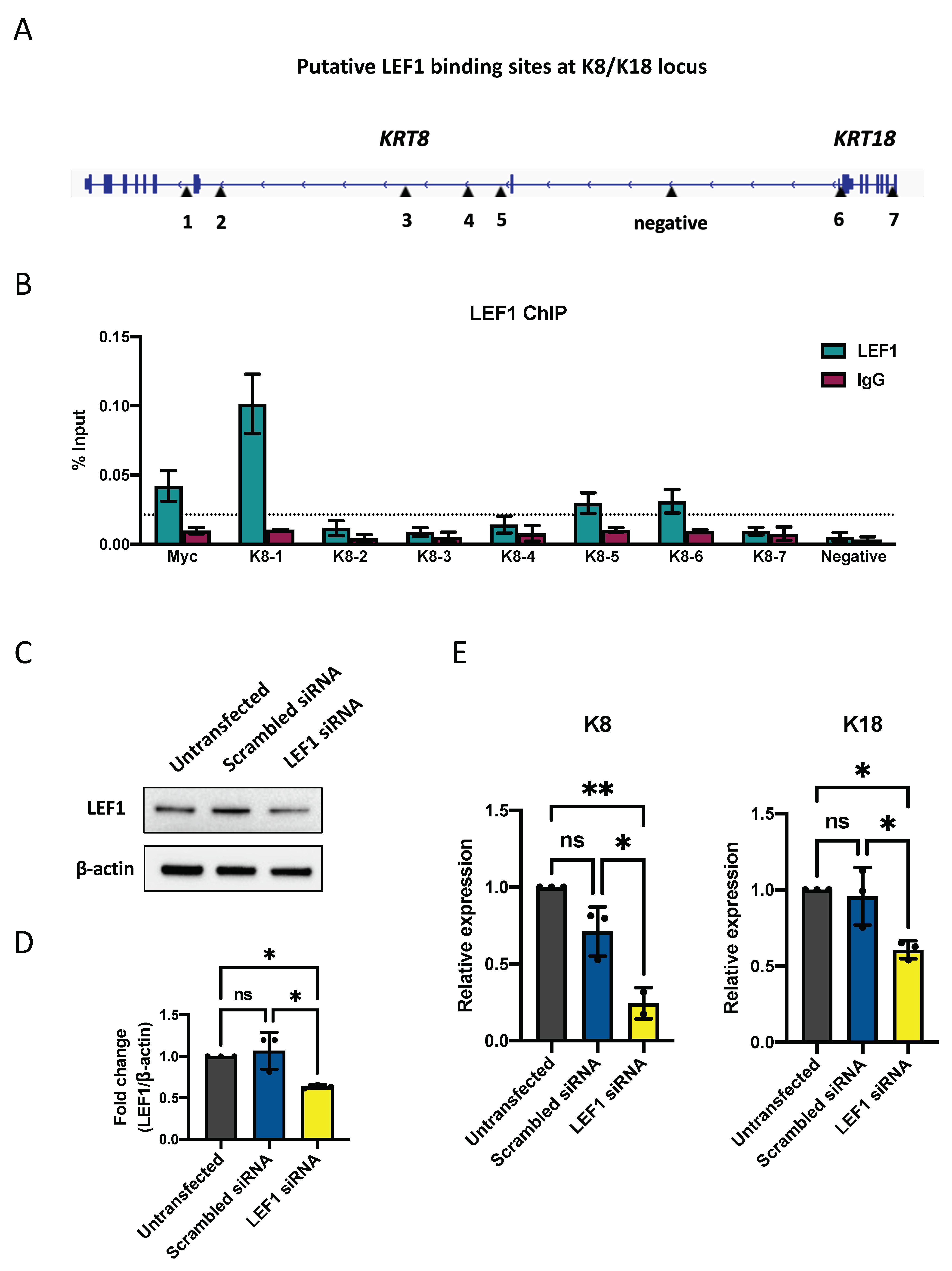 Ijms 23 05499 g005 550