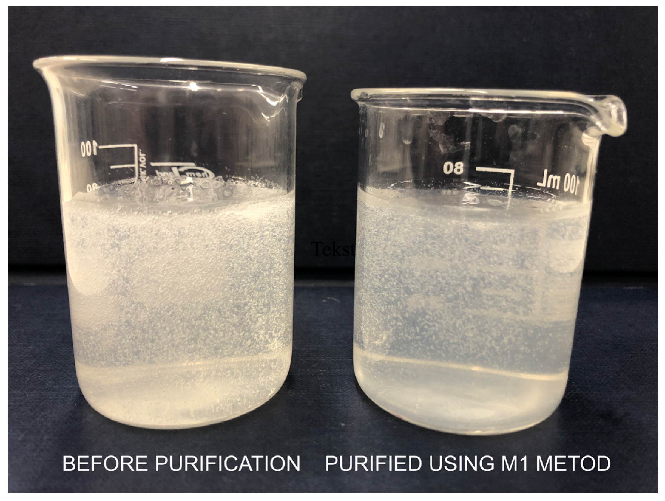 Ijms 23 05505 g002 Ijms 23 05505 g002