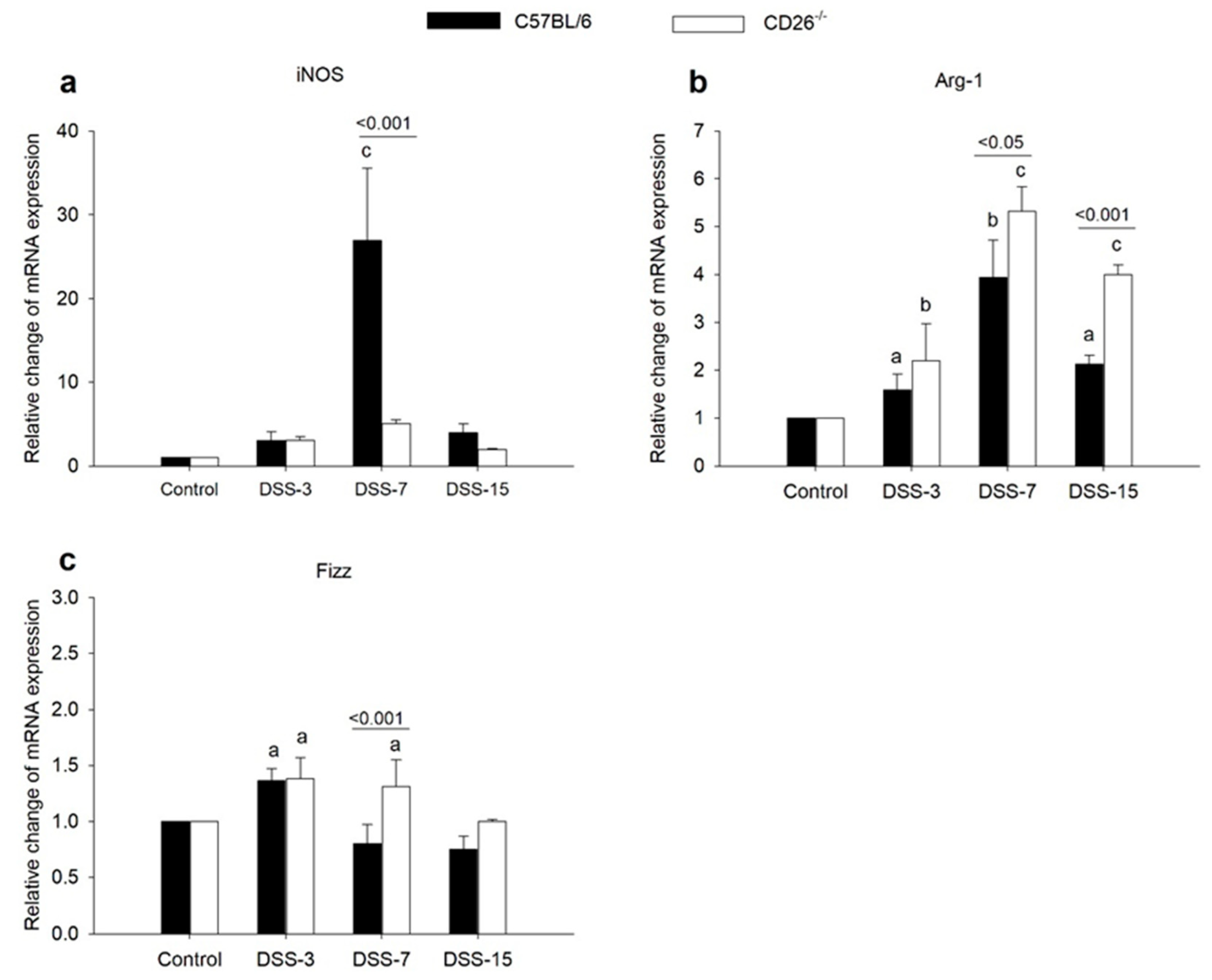 Ijms 23 05506 g004 Ijms 23 05506 g004