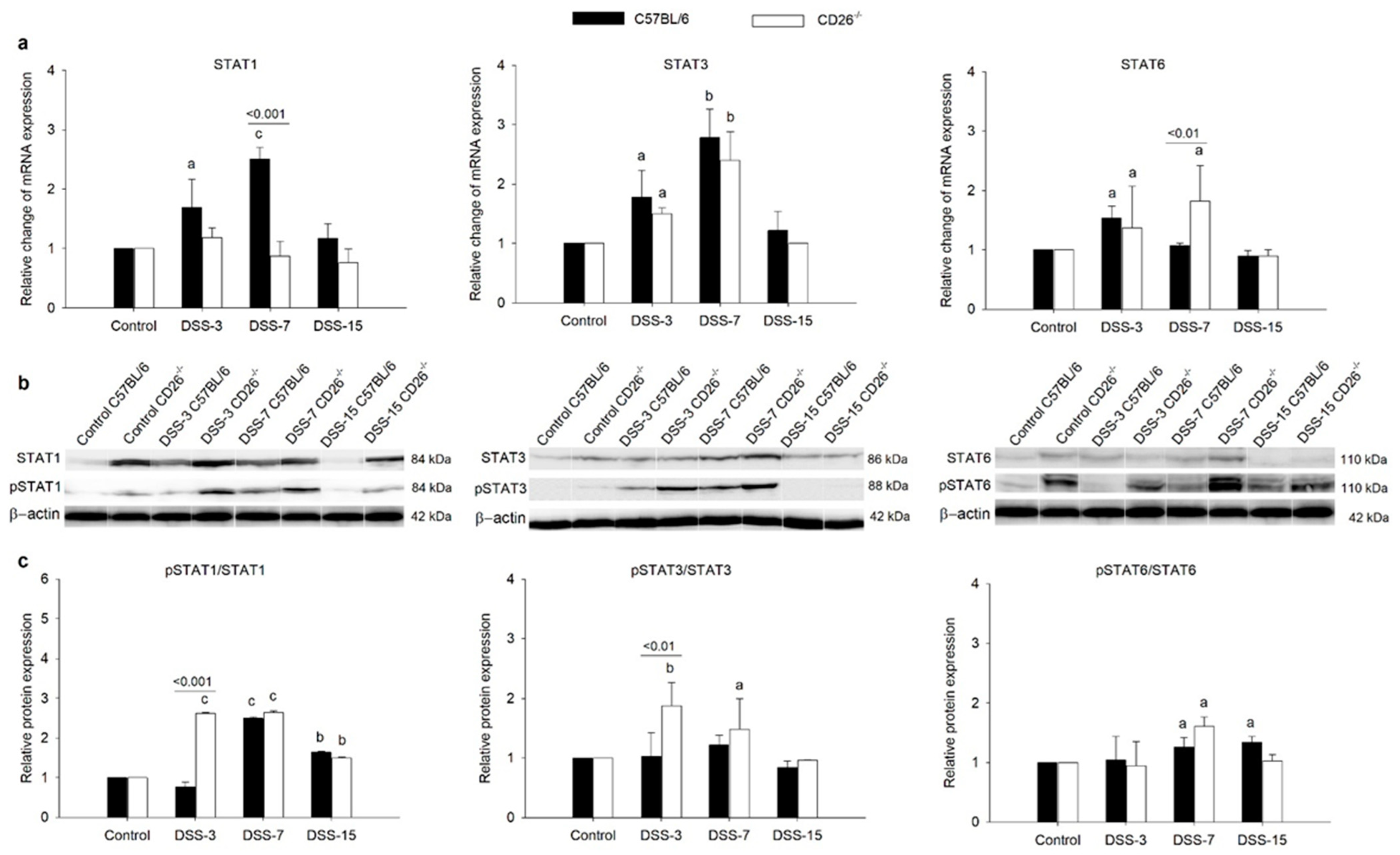 Ijms 23 05506 g005 Ijms 23 05506 g005