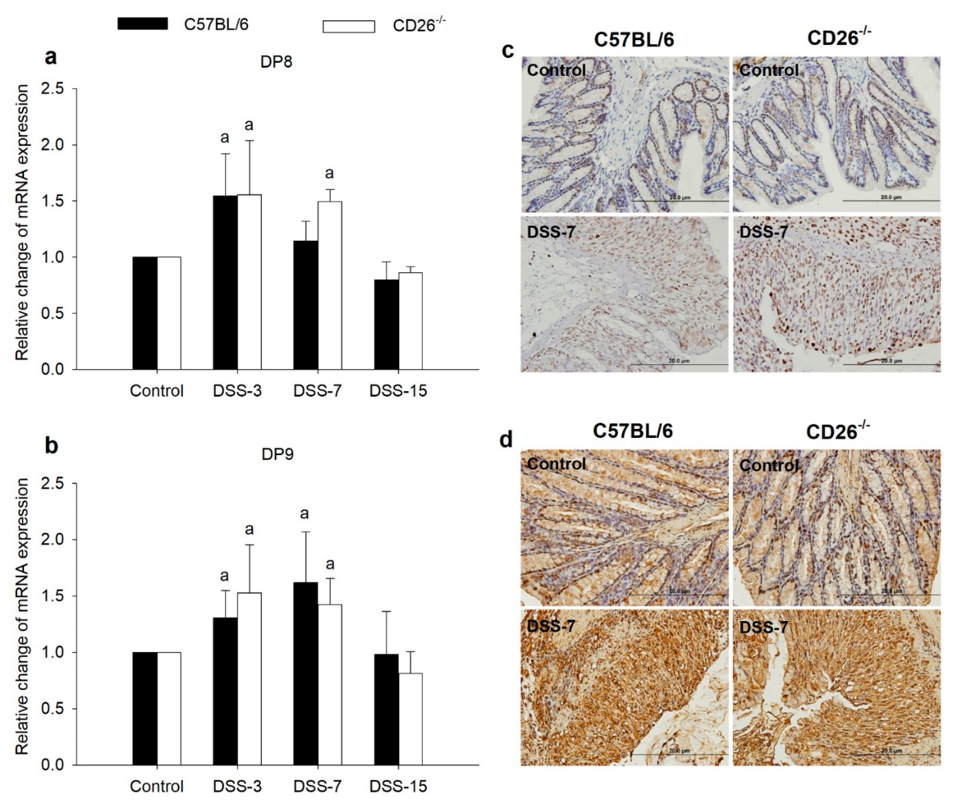 Ijms 23 05506 g006 Ijms 23 05506 g006