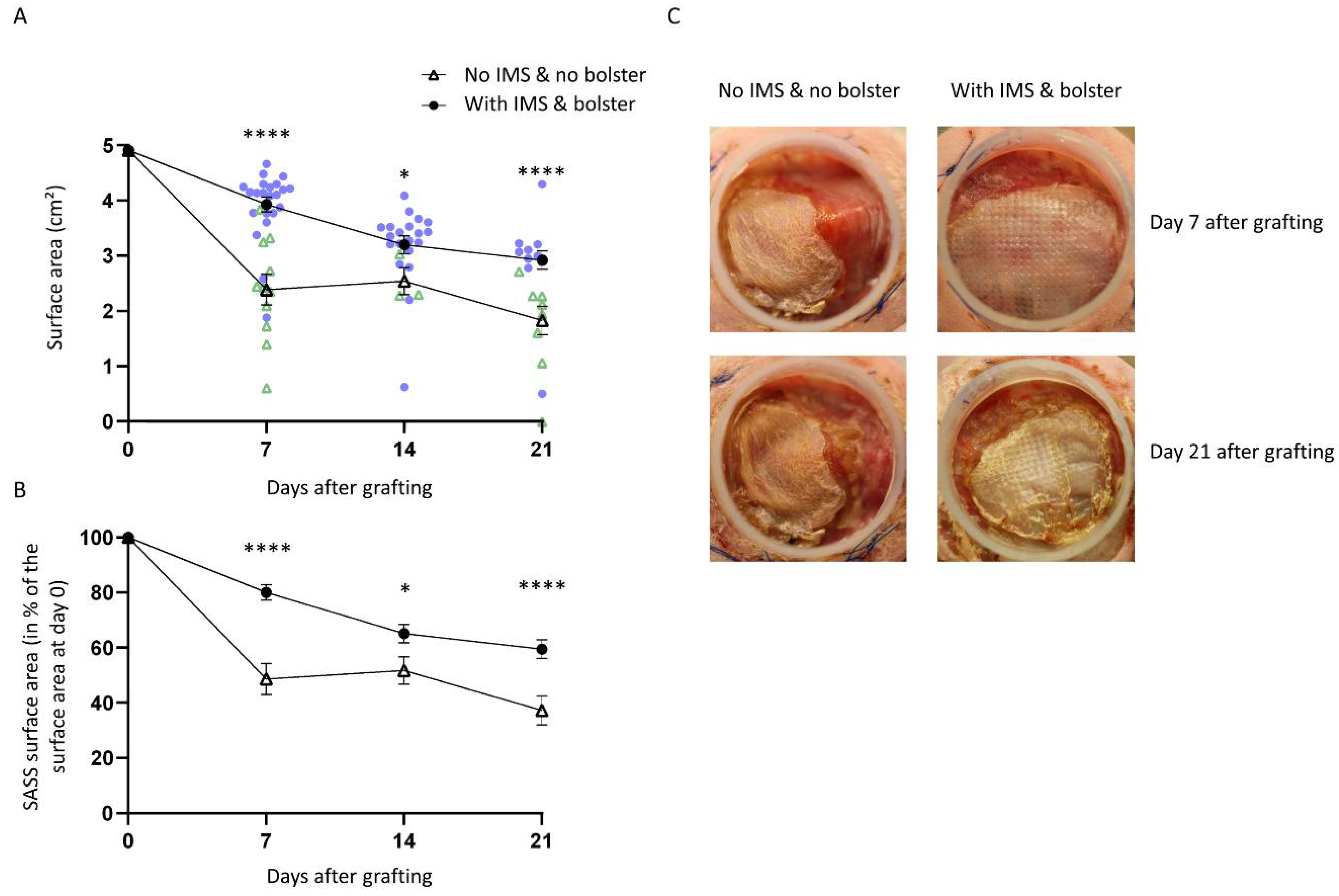 Ijms 23 05507 g001 Ijms 23 05507 g001