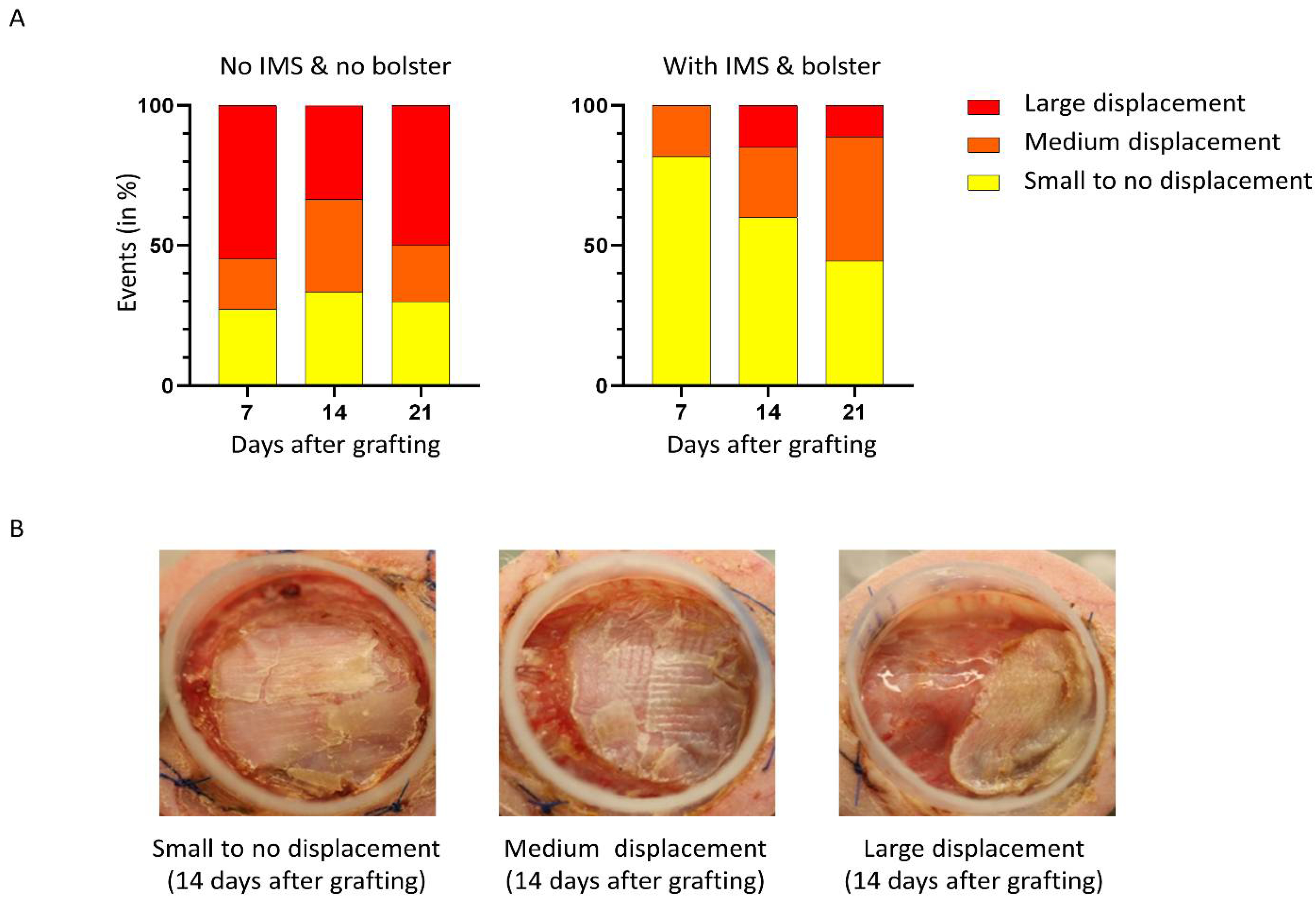 Ijms 23 05507 g002 Ijms 23 05507 g002