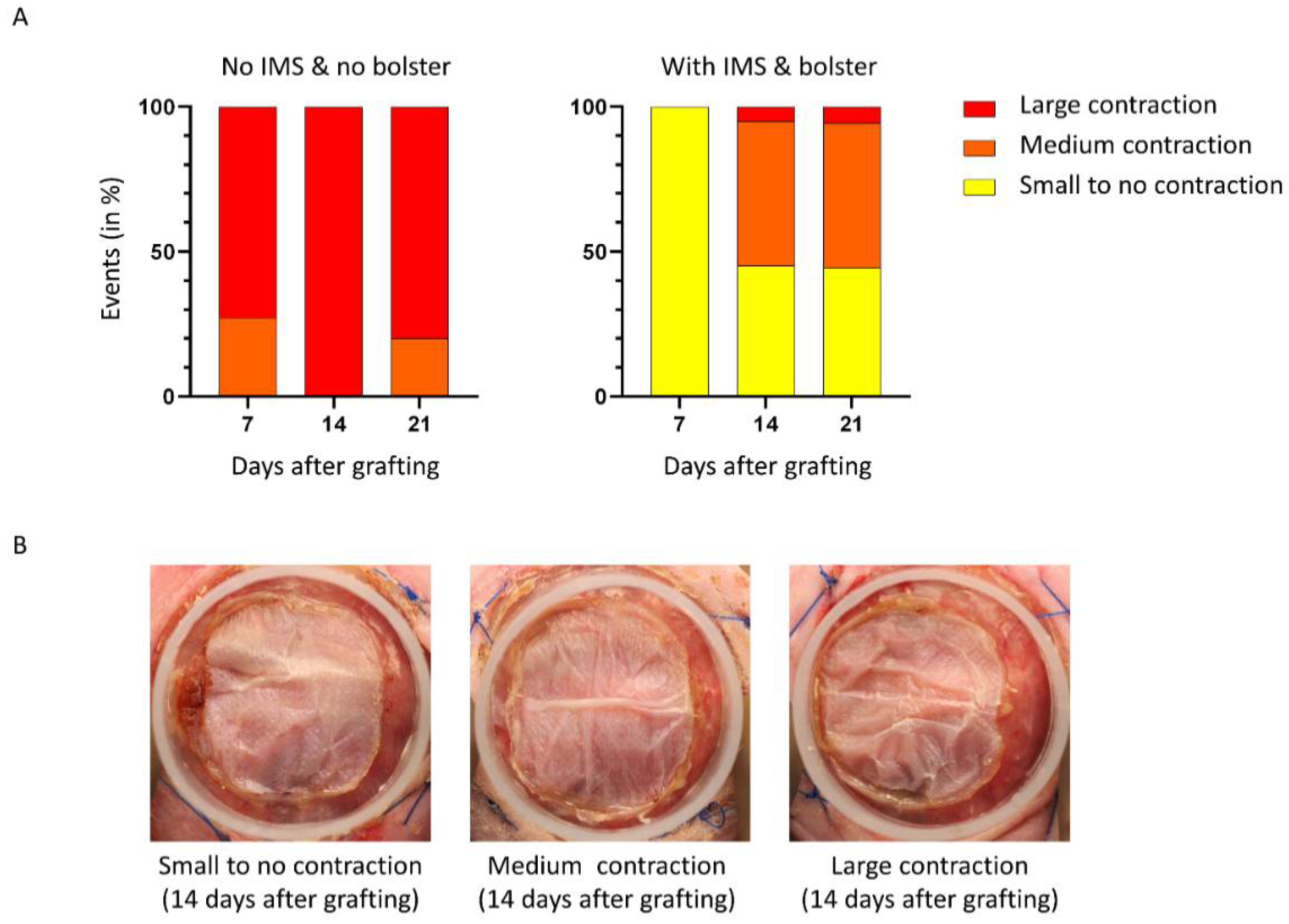 Ijms 23 05507 g003 Ijms 23 05507 g003