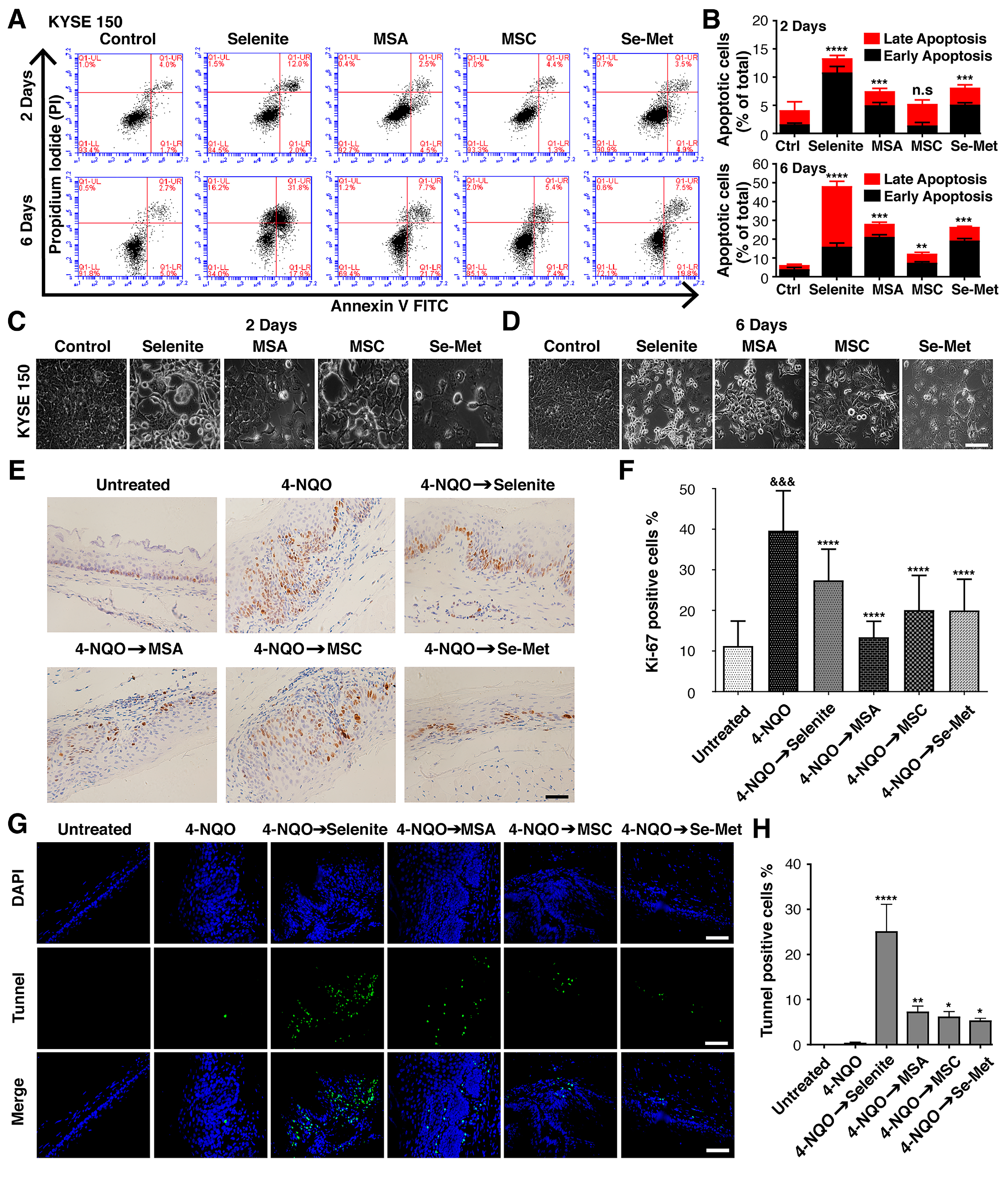 Ijms 23 05509 g003 Ijms 23 05509 g003