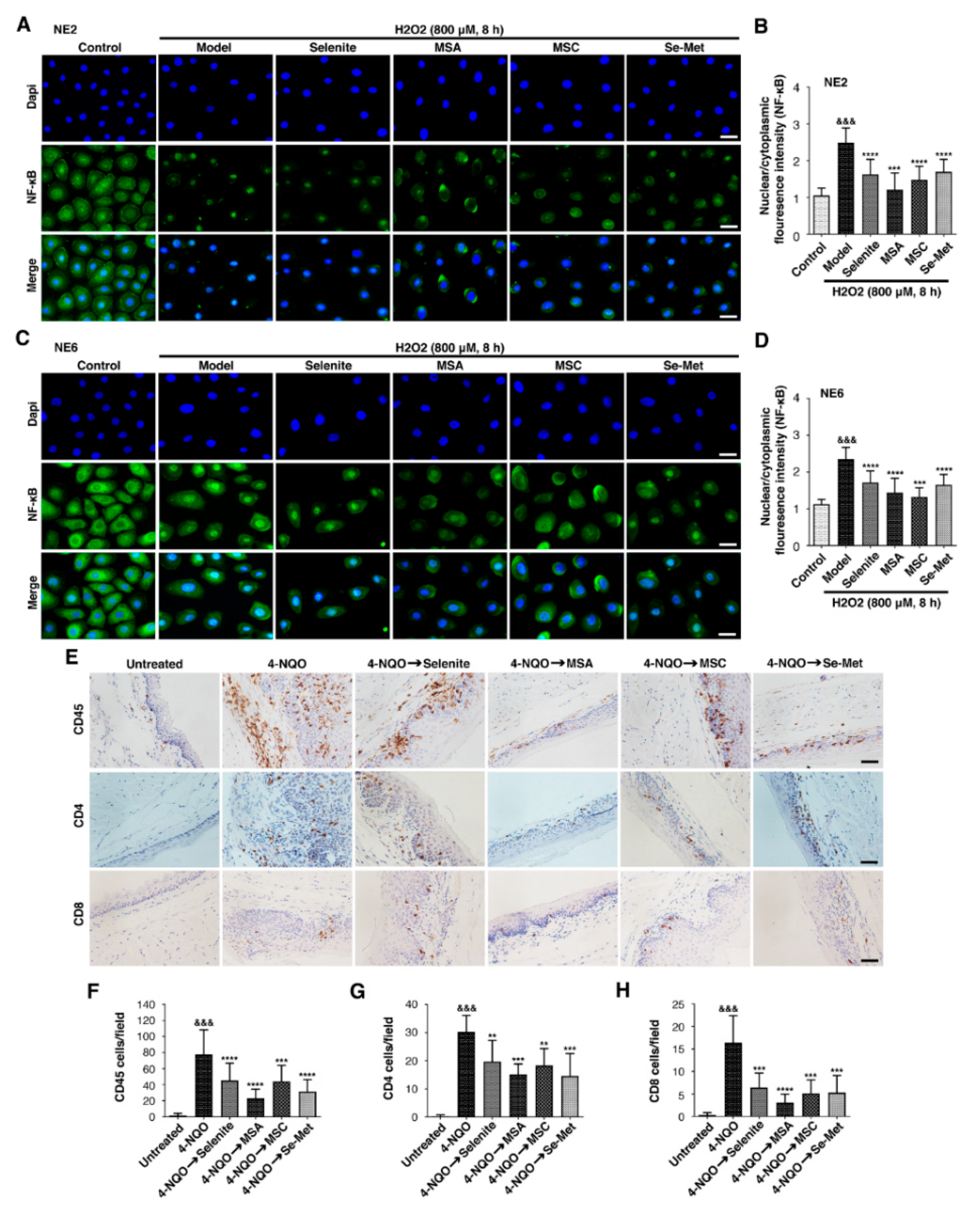 Ijms 23 05509 g004 Ijms 23 05509 g004