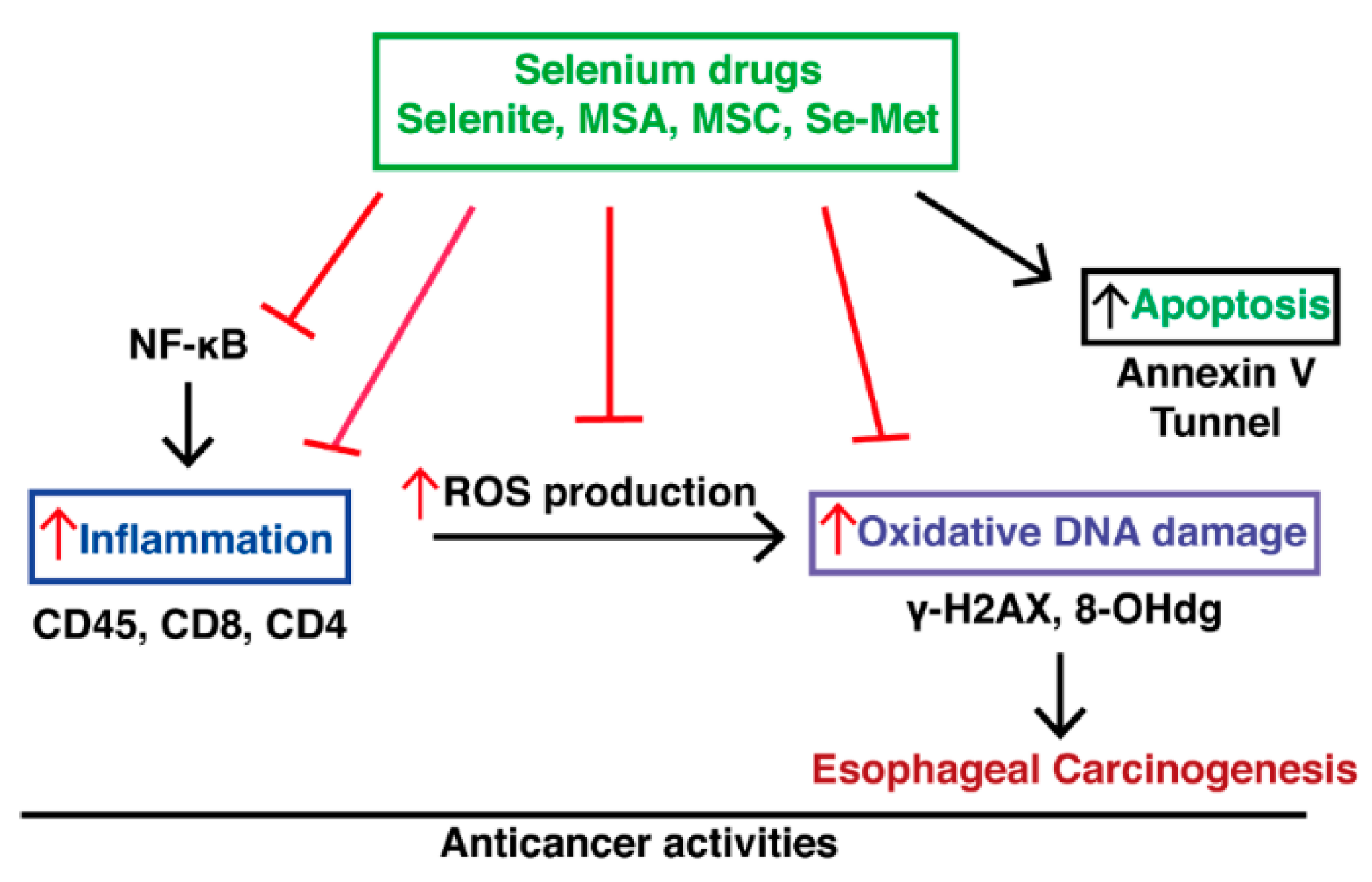 Ijms 23 05509 g006 Ijms 23 05509 g006