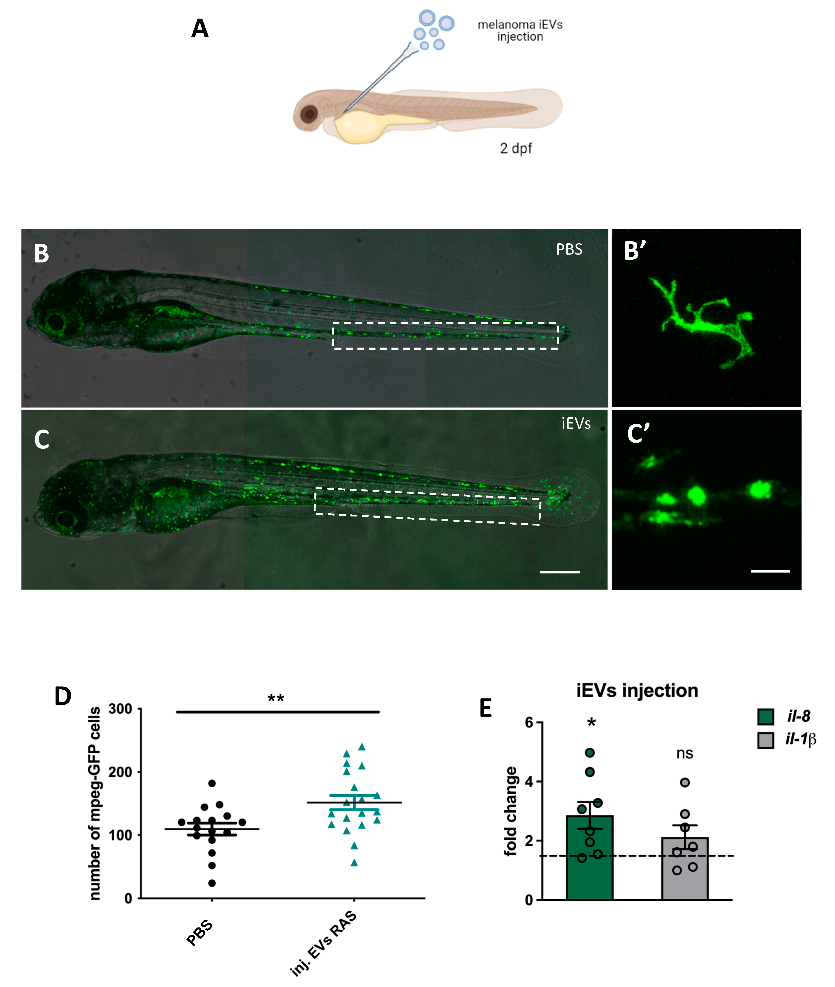 Ijms 23 05510 g005 550
