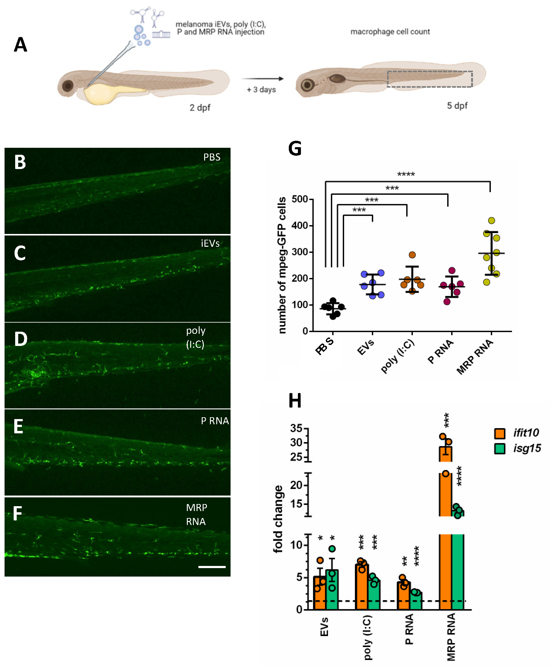Ijms 23 05510 g006 550