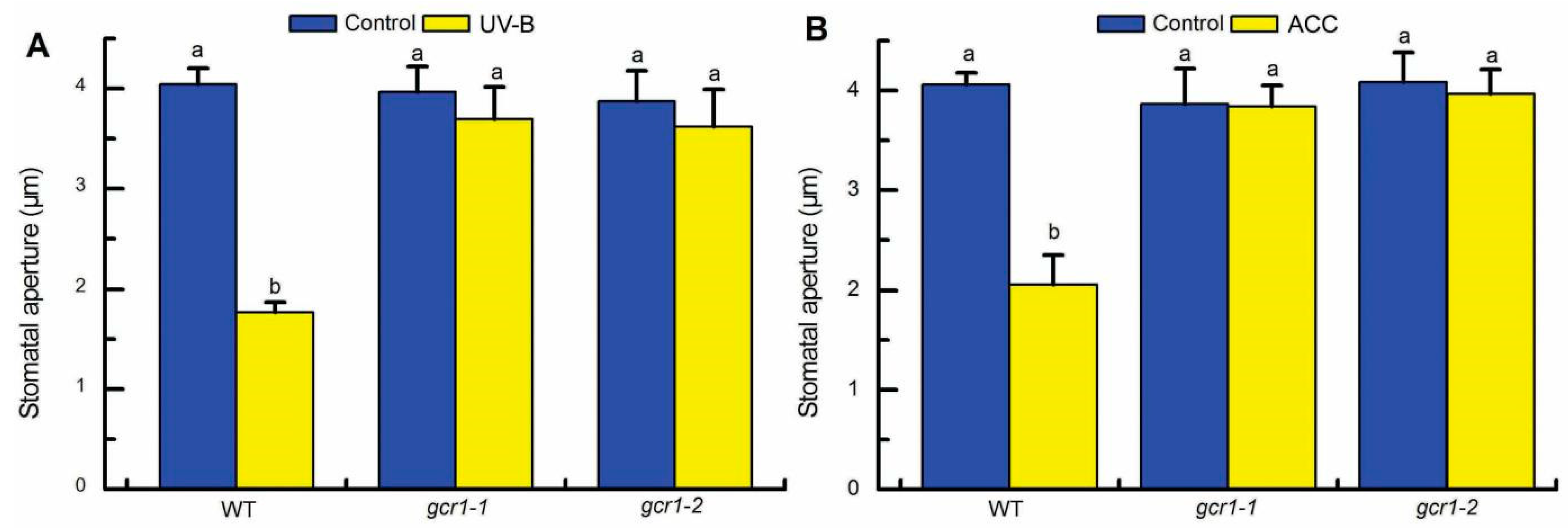 Ijms 23 05512 g001 550