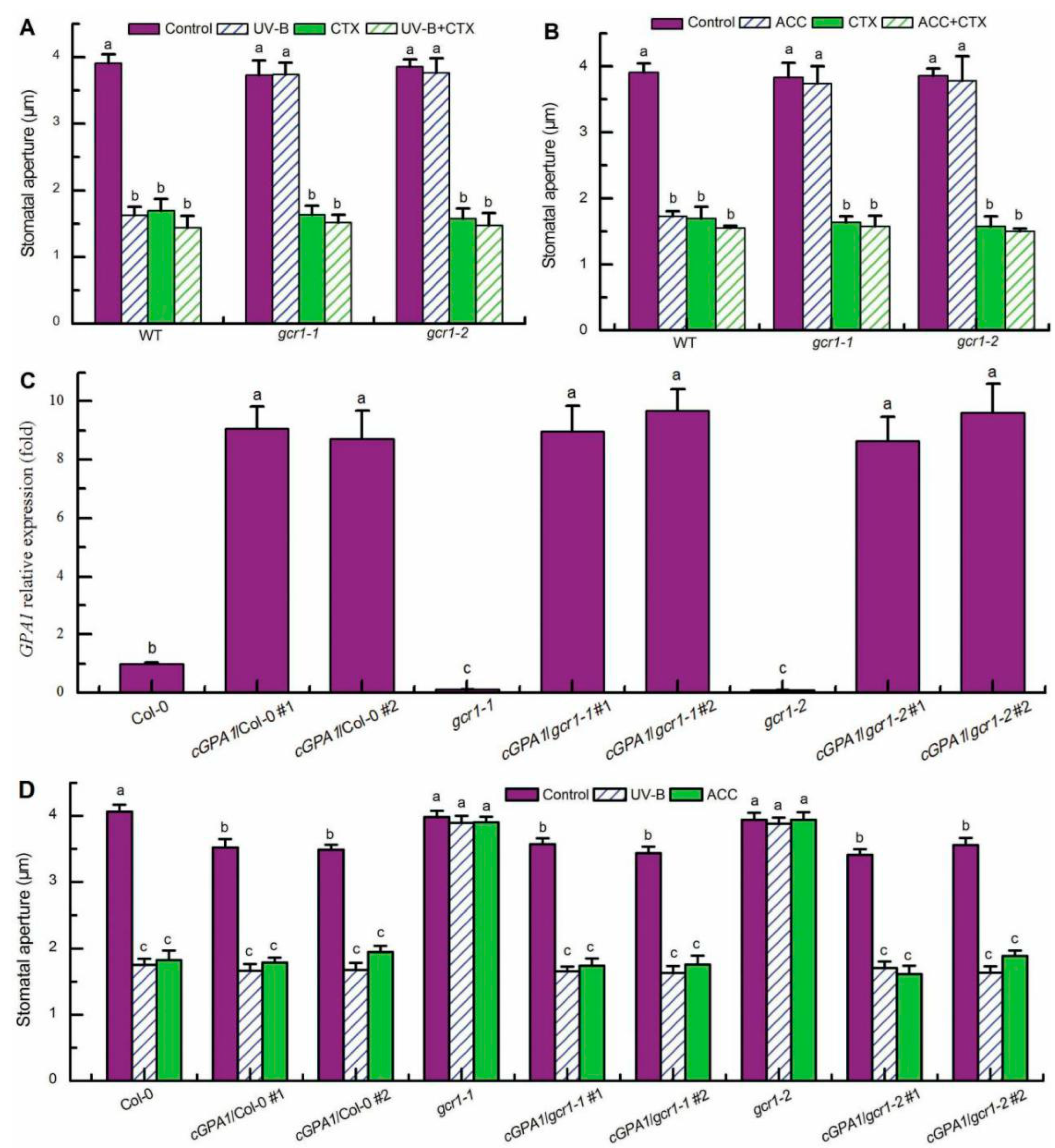 Ijms 23 05512 g002 550