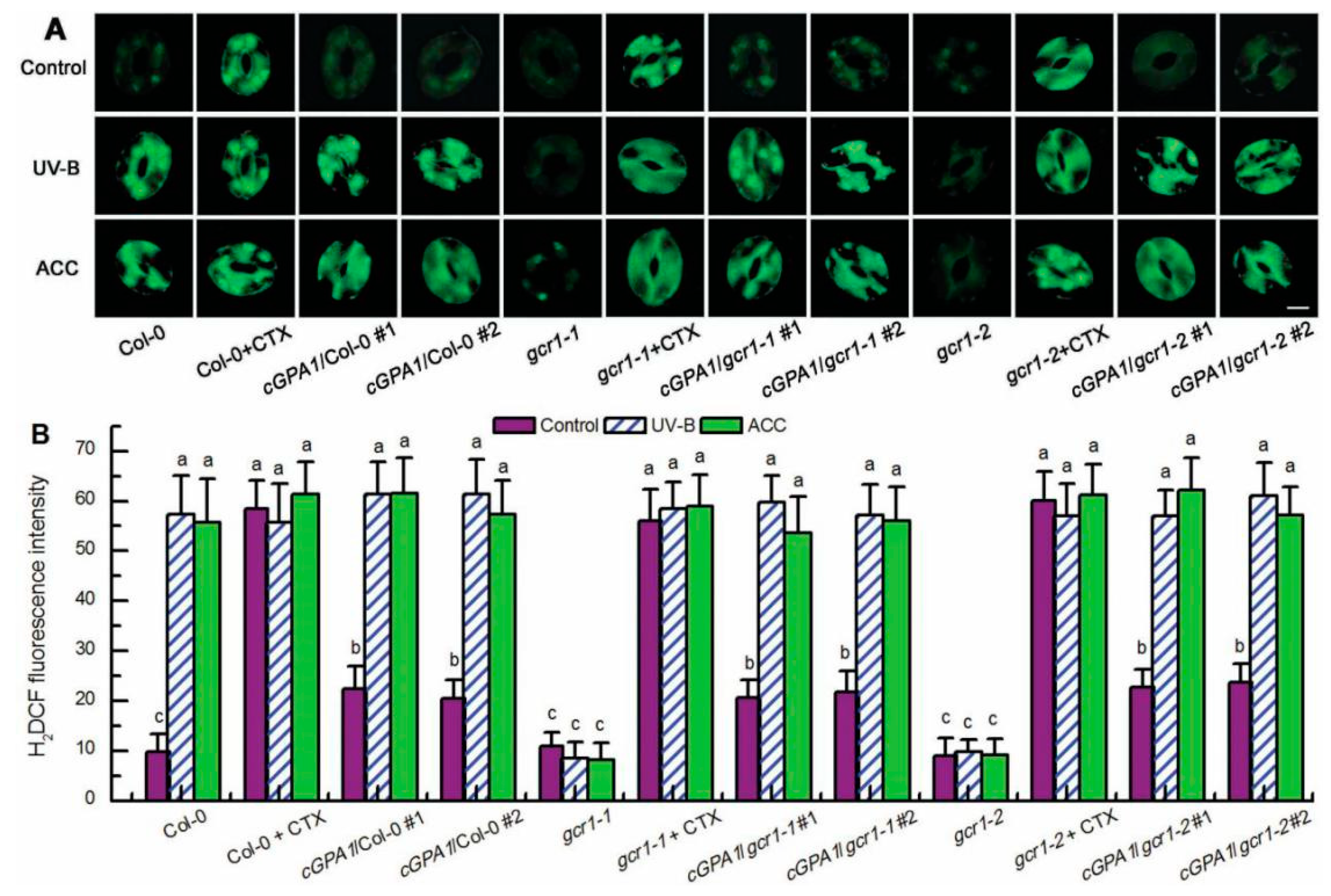 Ijms 23 05512 g003 550