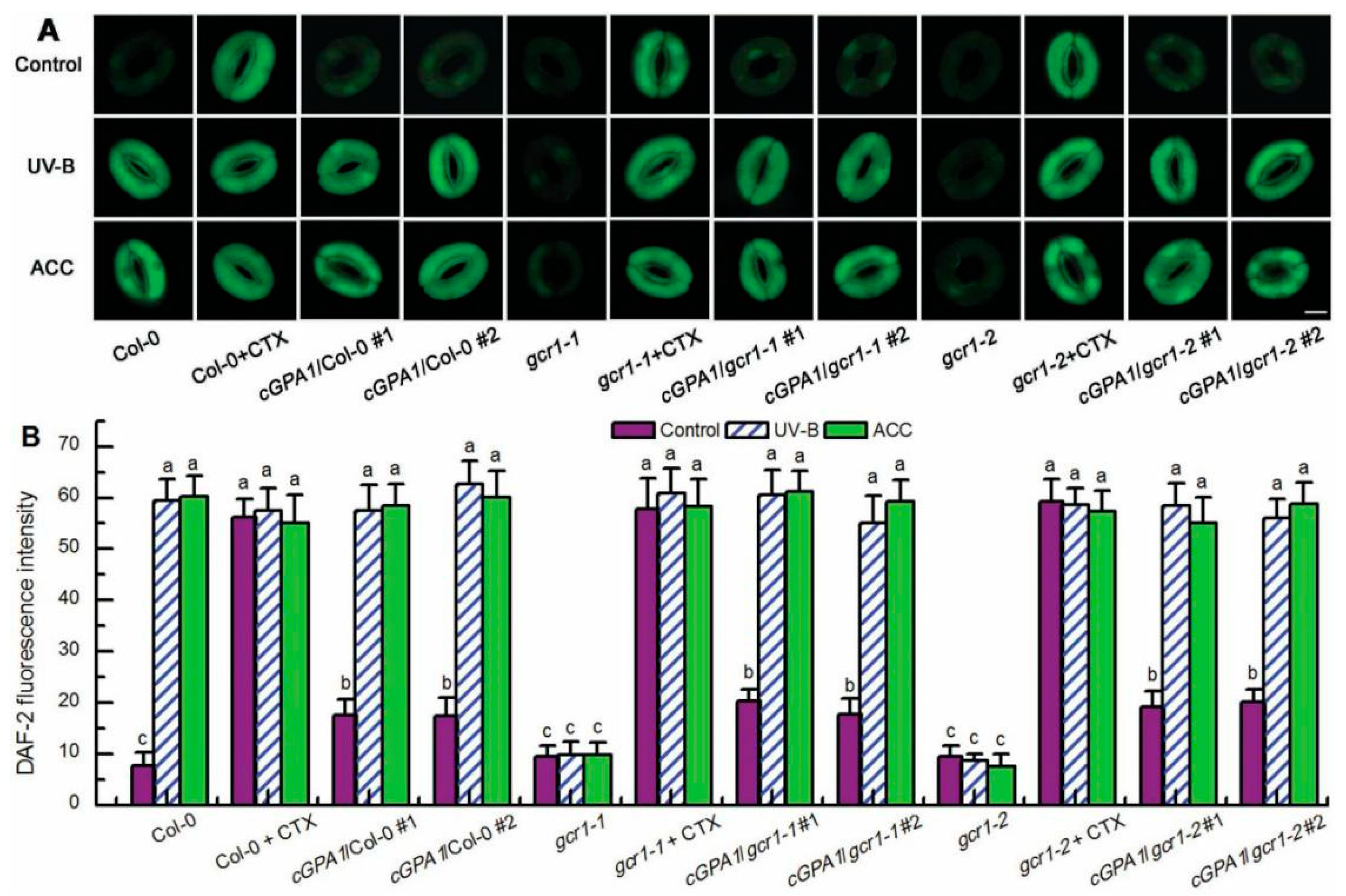 Ijms 23 05512 g005 550