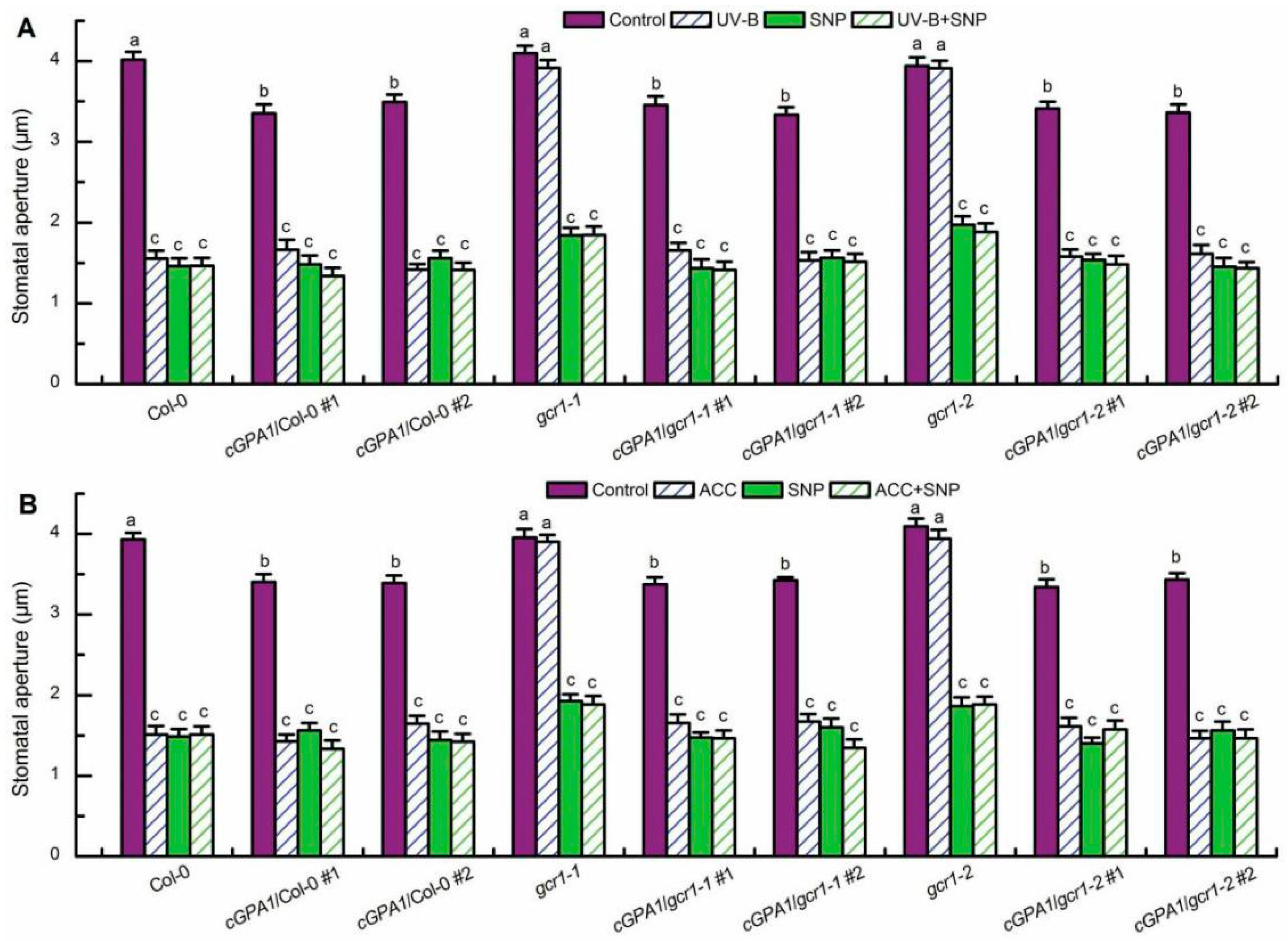 Ijms 23 05512 g006 550