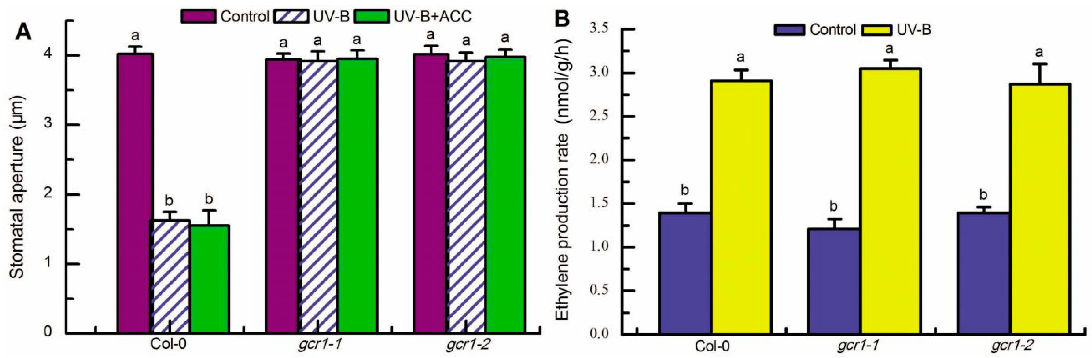 Ijms 23 05512 g007 550