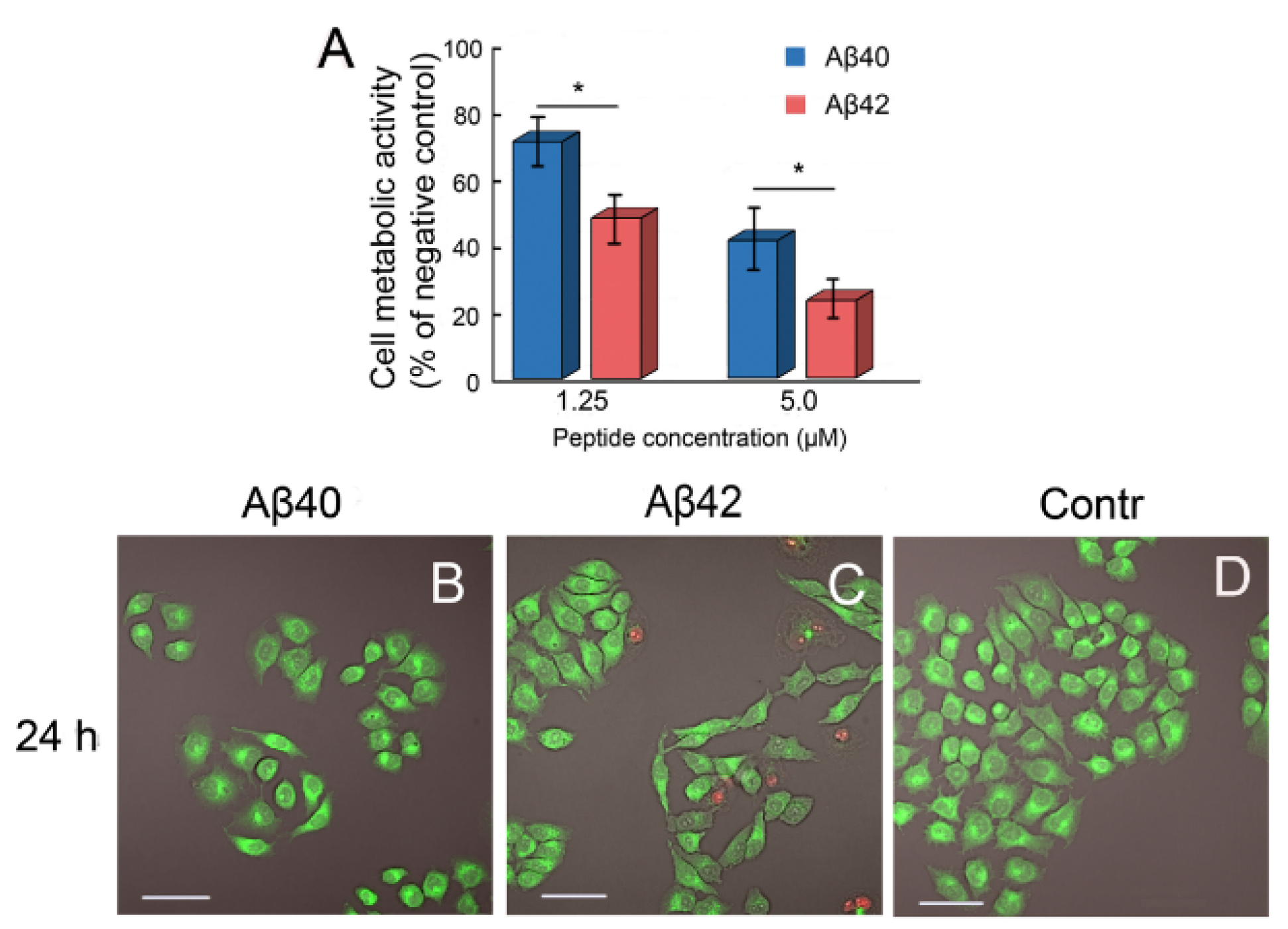 Ijms 23 05513 g006 Ijms 23 05513 g006