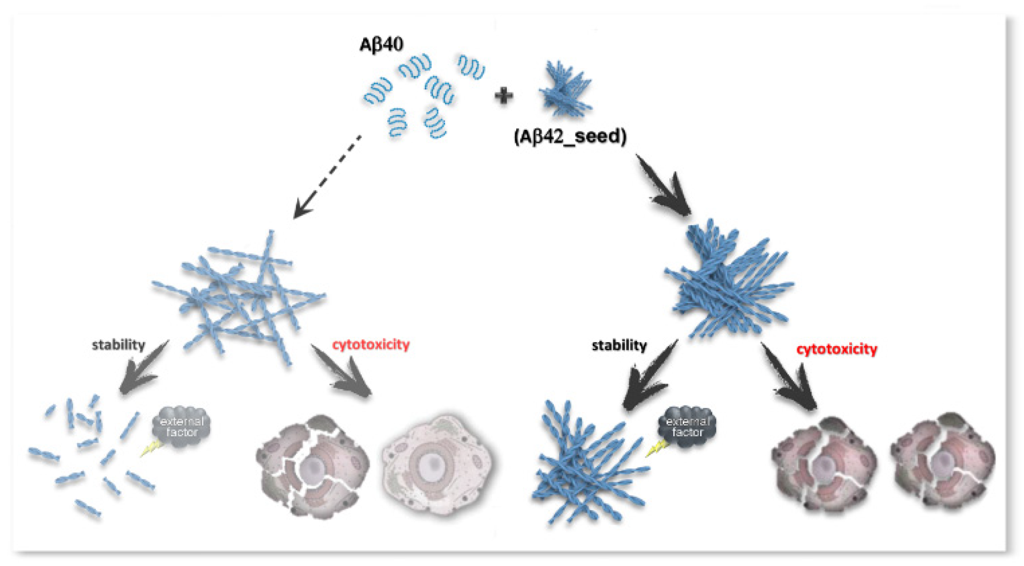 Ijms 23 05513 sch002 Ijms 23 05513 sch002