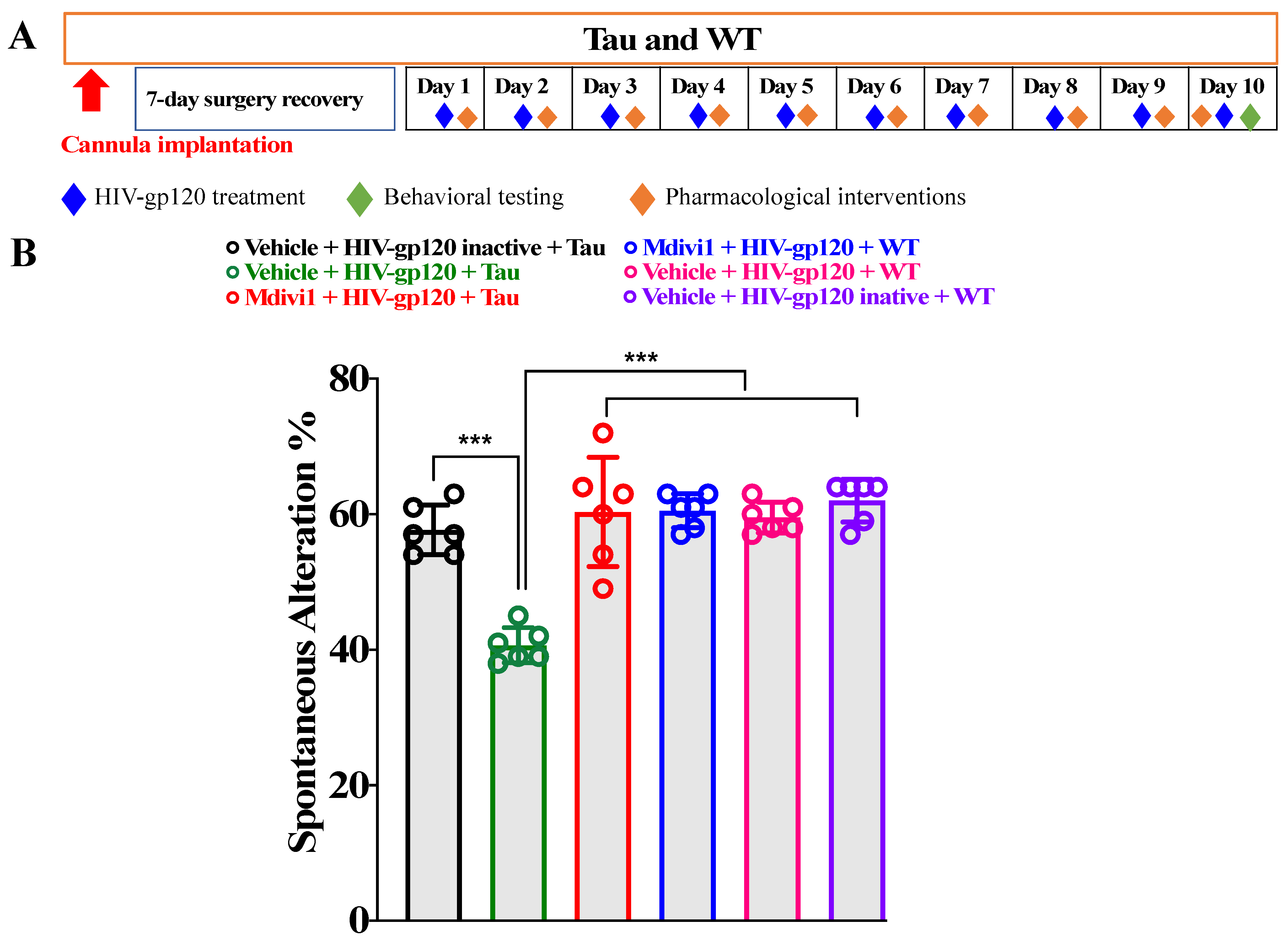 Ijms 23 05514 g002 550