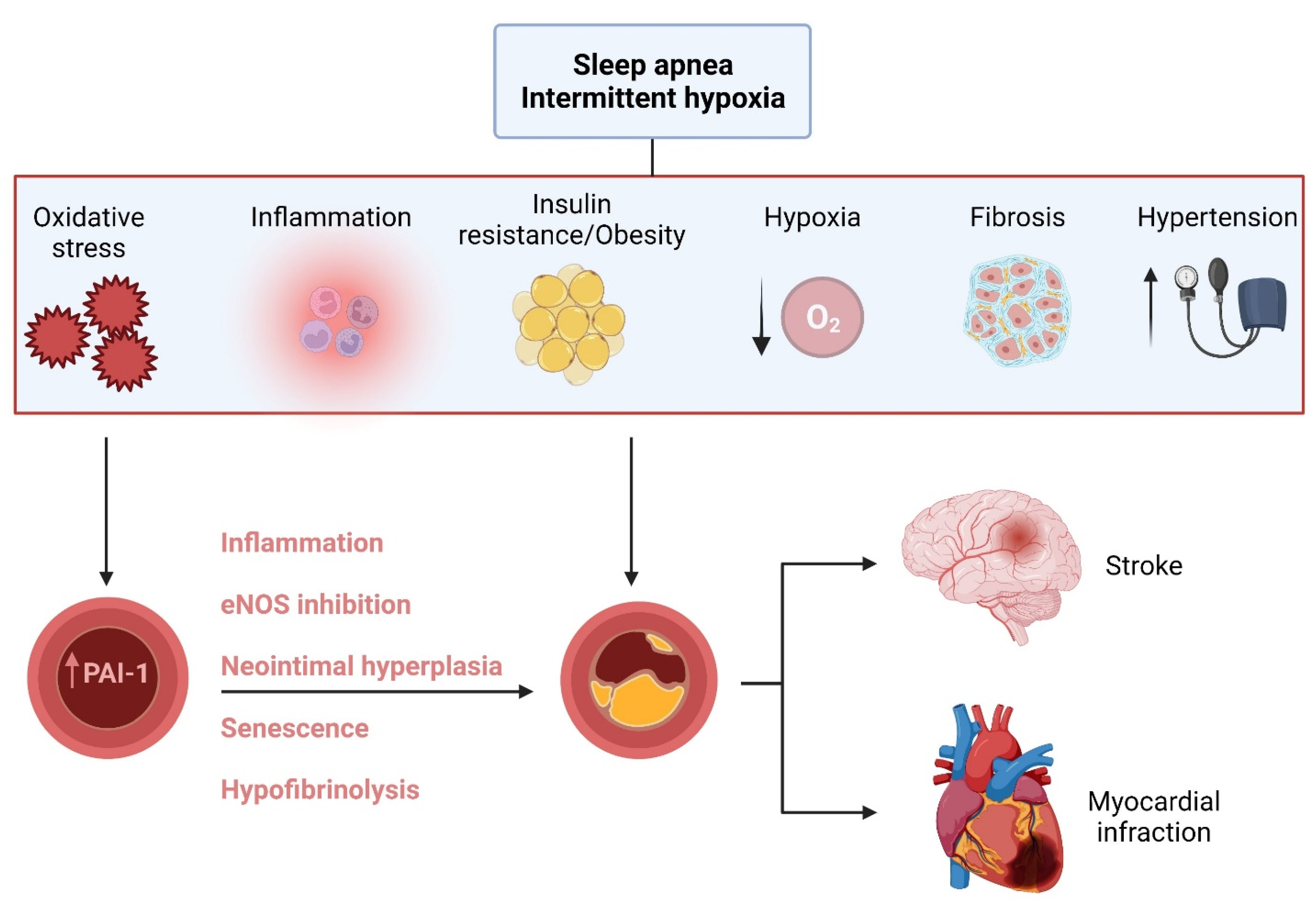 Ijms 23 05516 g003 Ijms 23 05516 g003