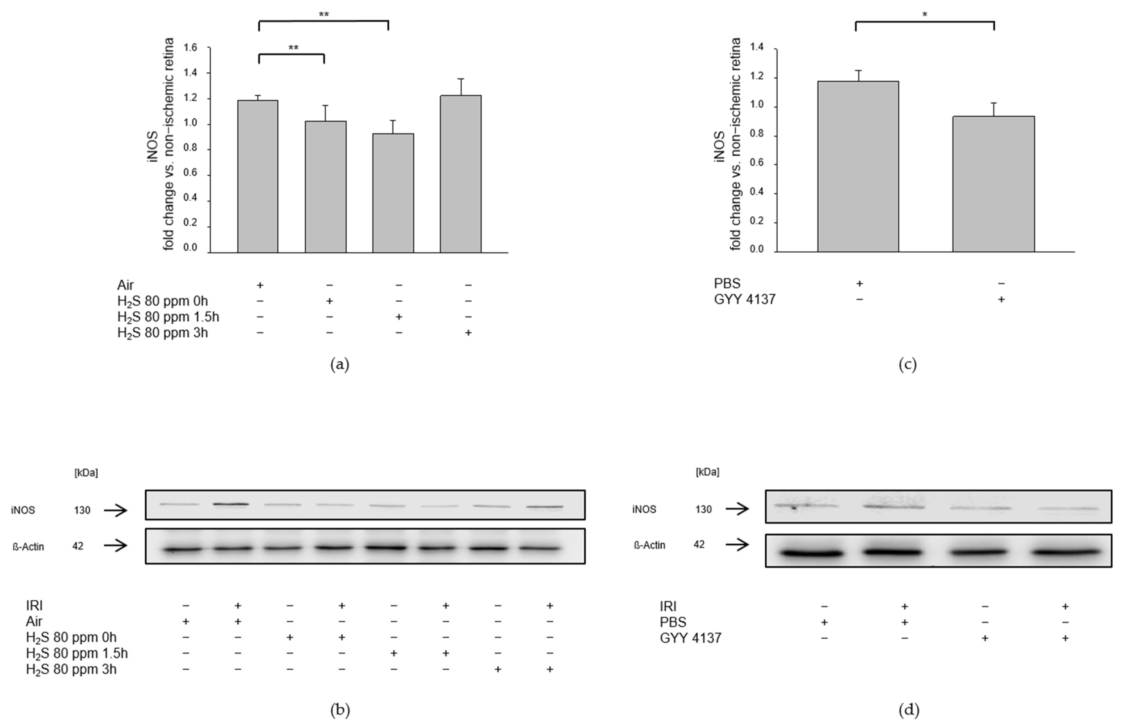 Ijms 23 05519 g008 550