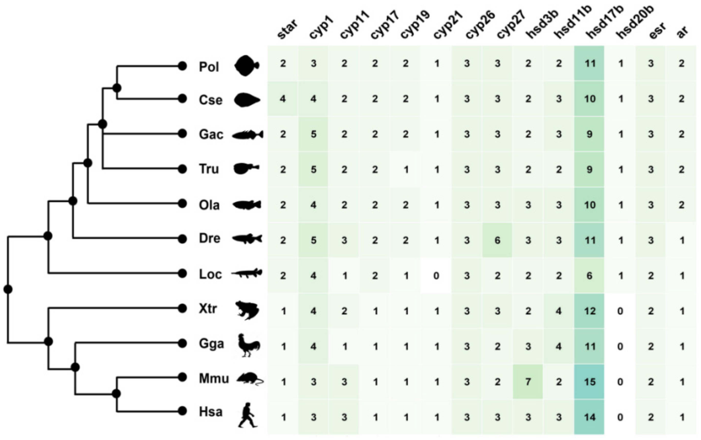 Ijms 23 05520 g001 Ijms 23 05520 g001