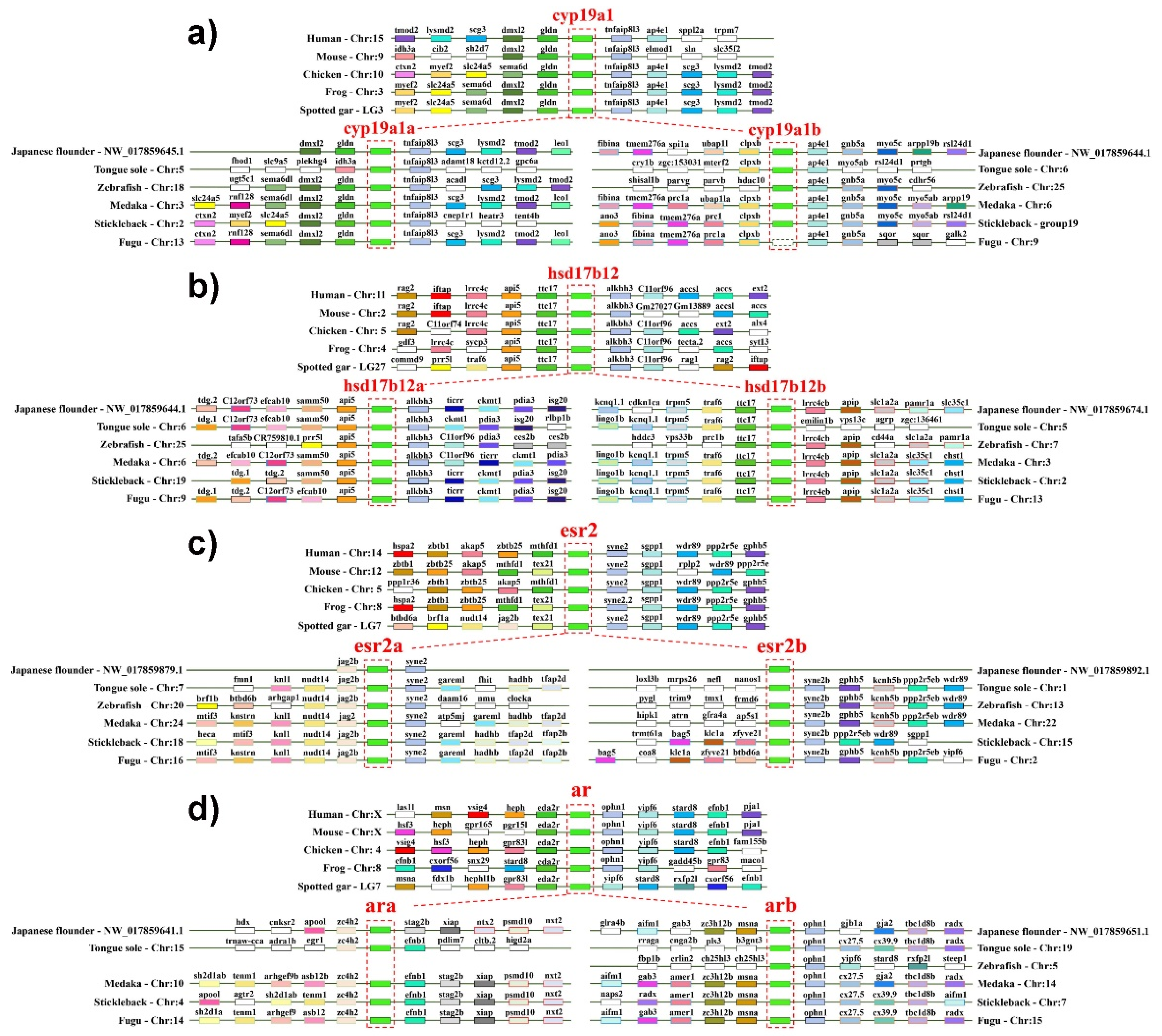 Ijms 23 05520 g003 Ijms 23 05520 g003