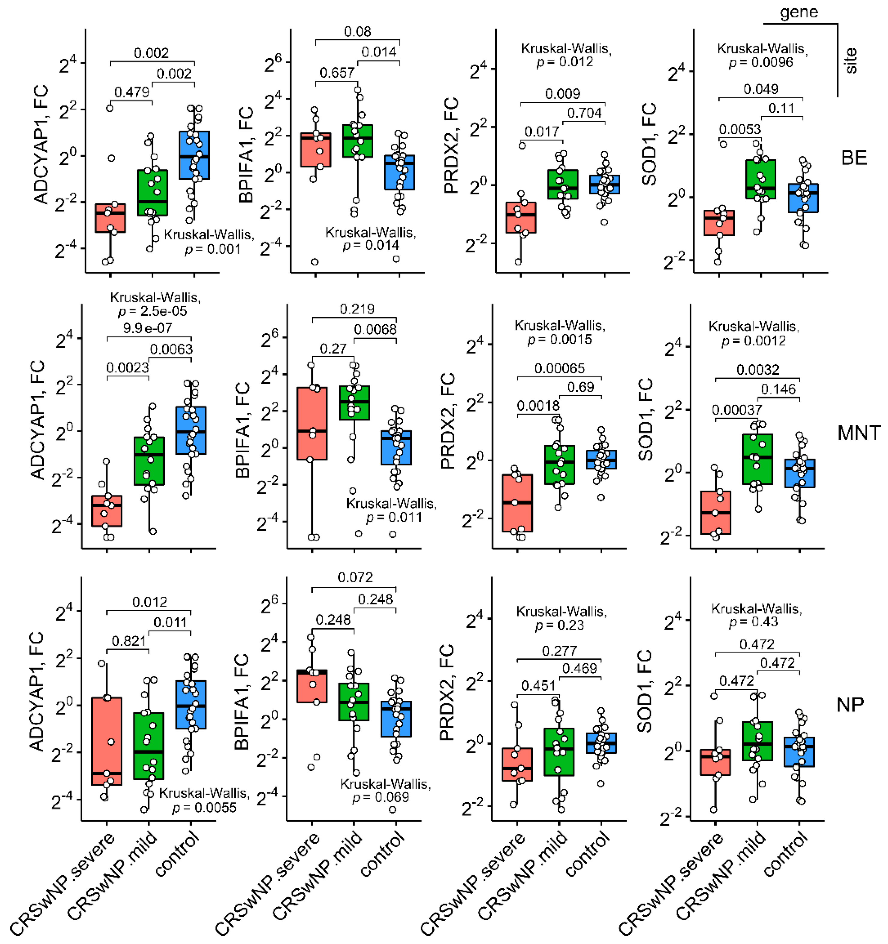 Ijms 23 05521 g002 550