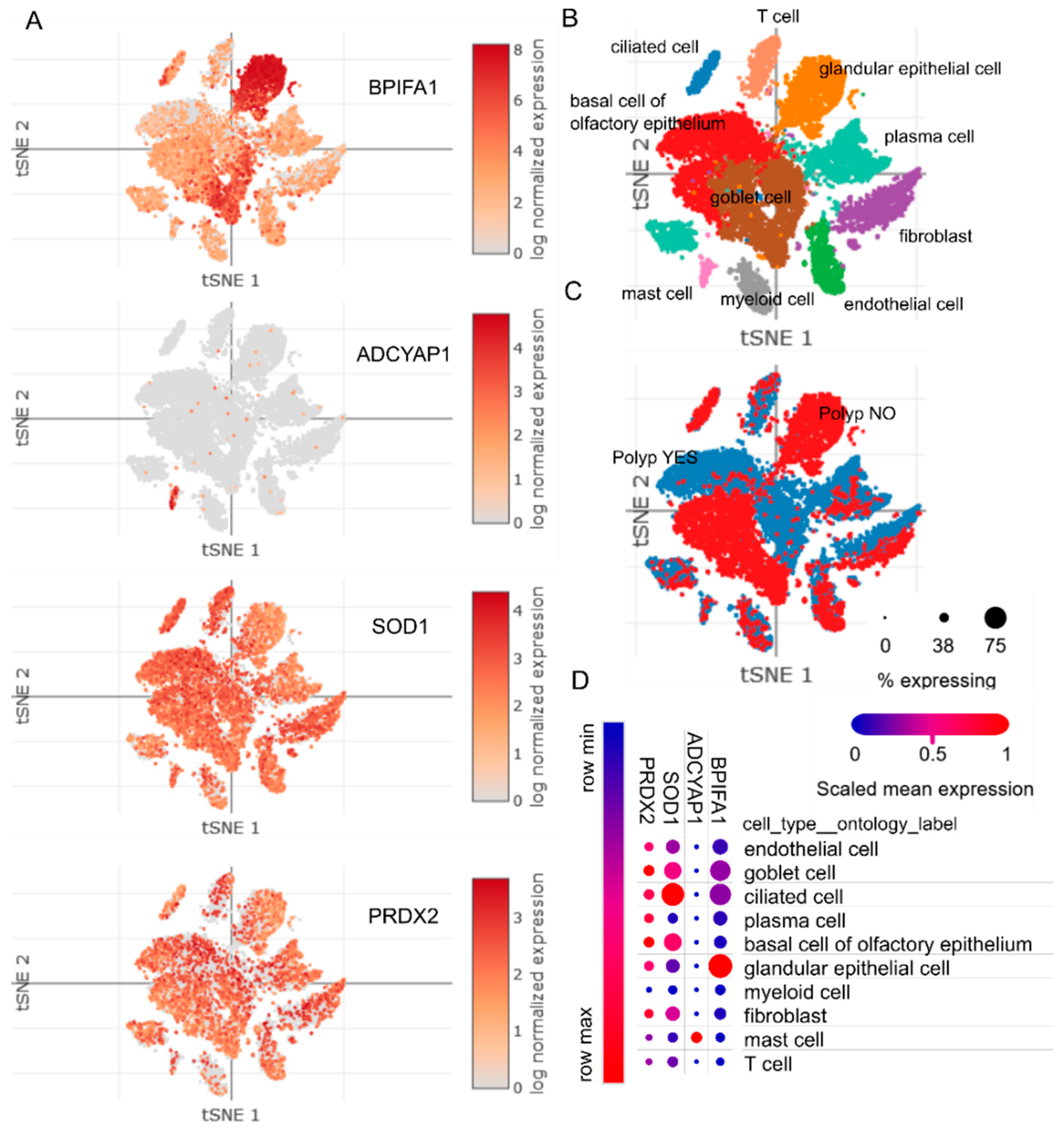 Ijms 23 05521 g003 550