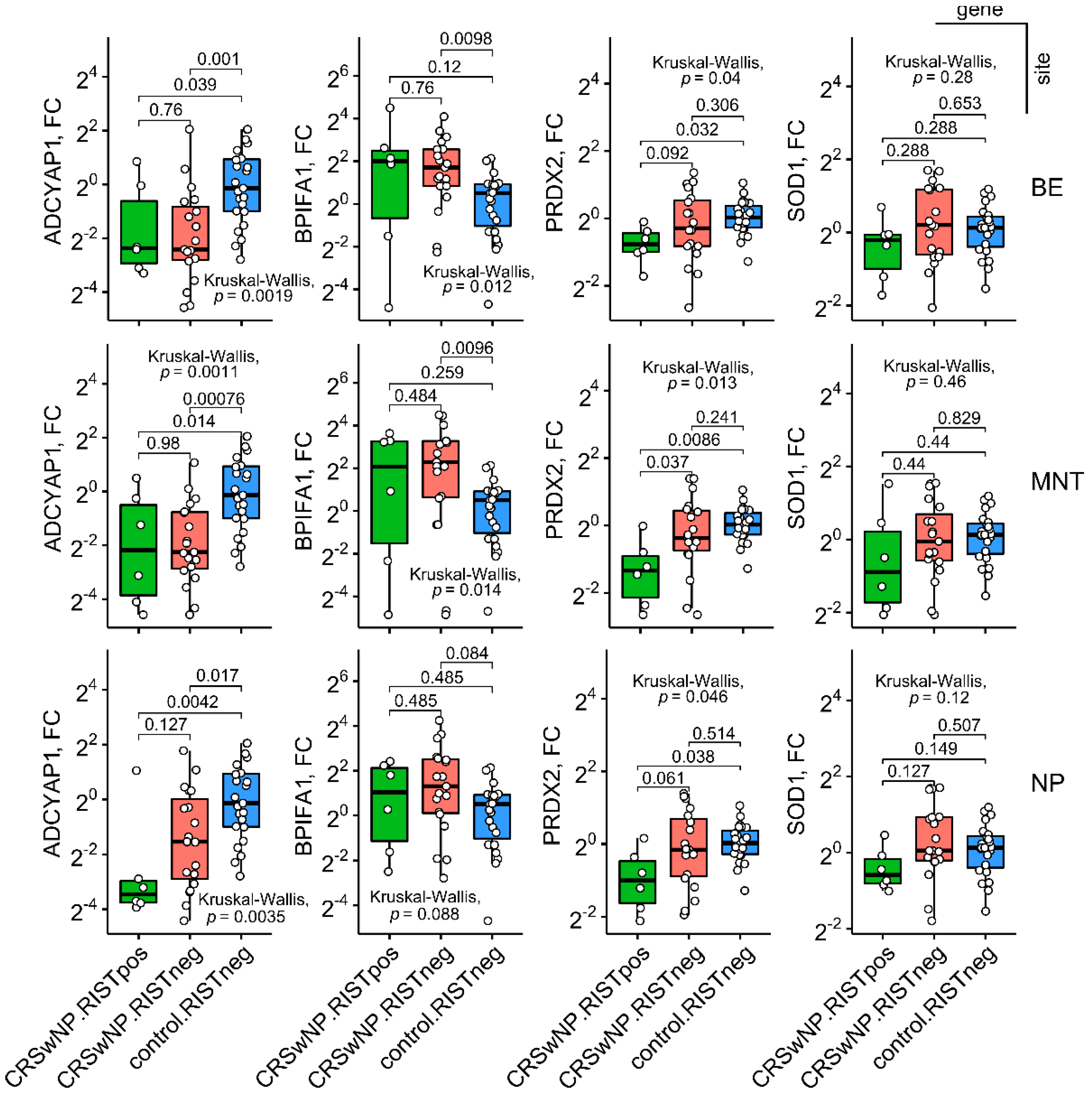 Ijms 23 05521 g004 550