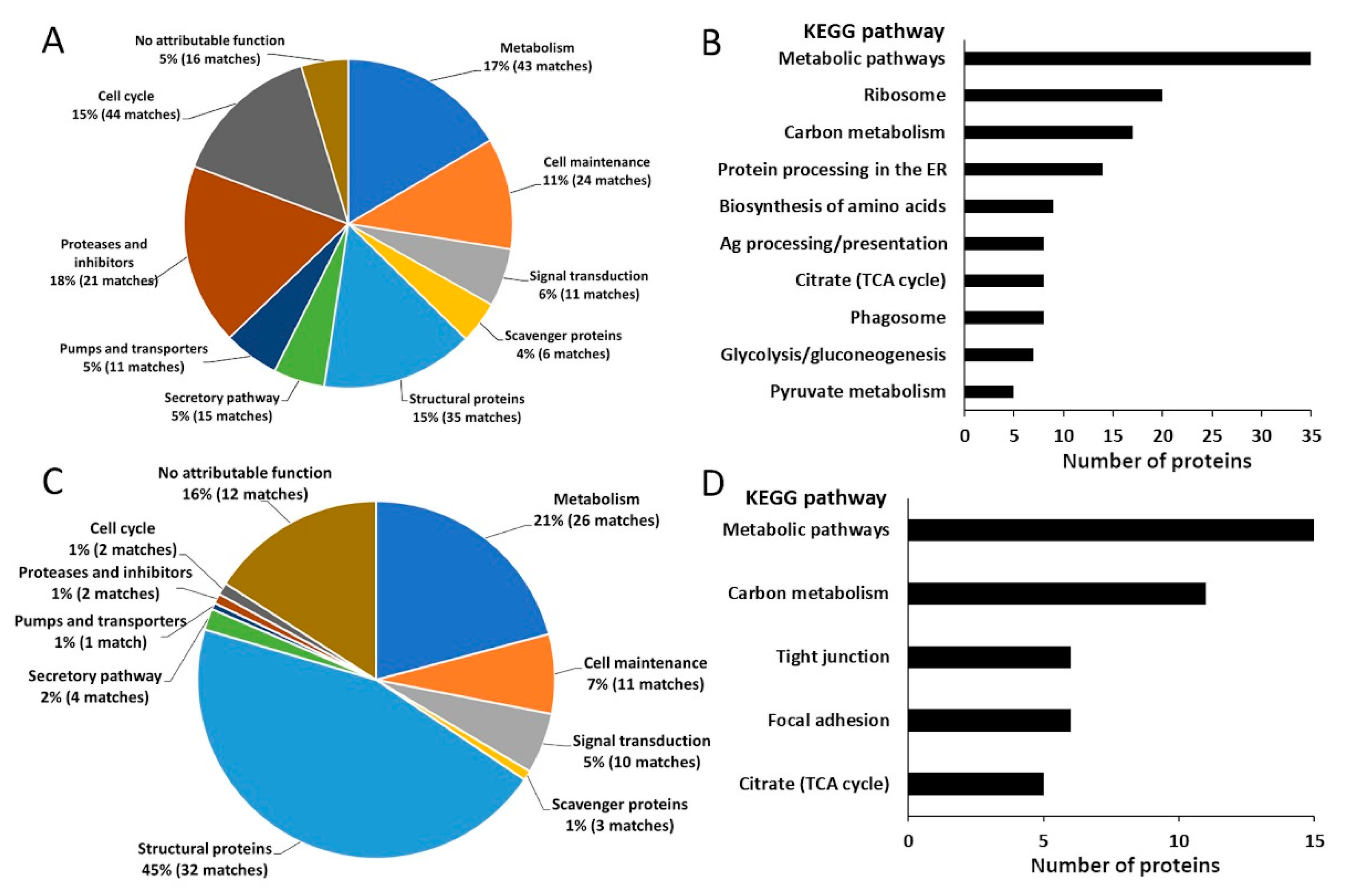 Ijms 23 05525 g001 Ijms 23 05525 g001