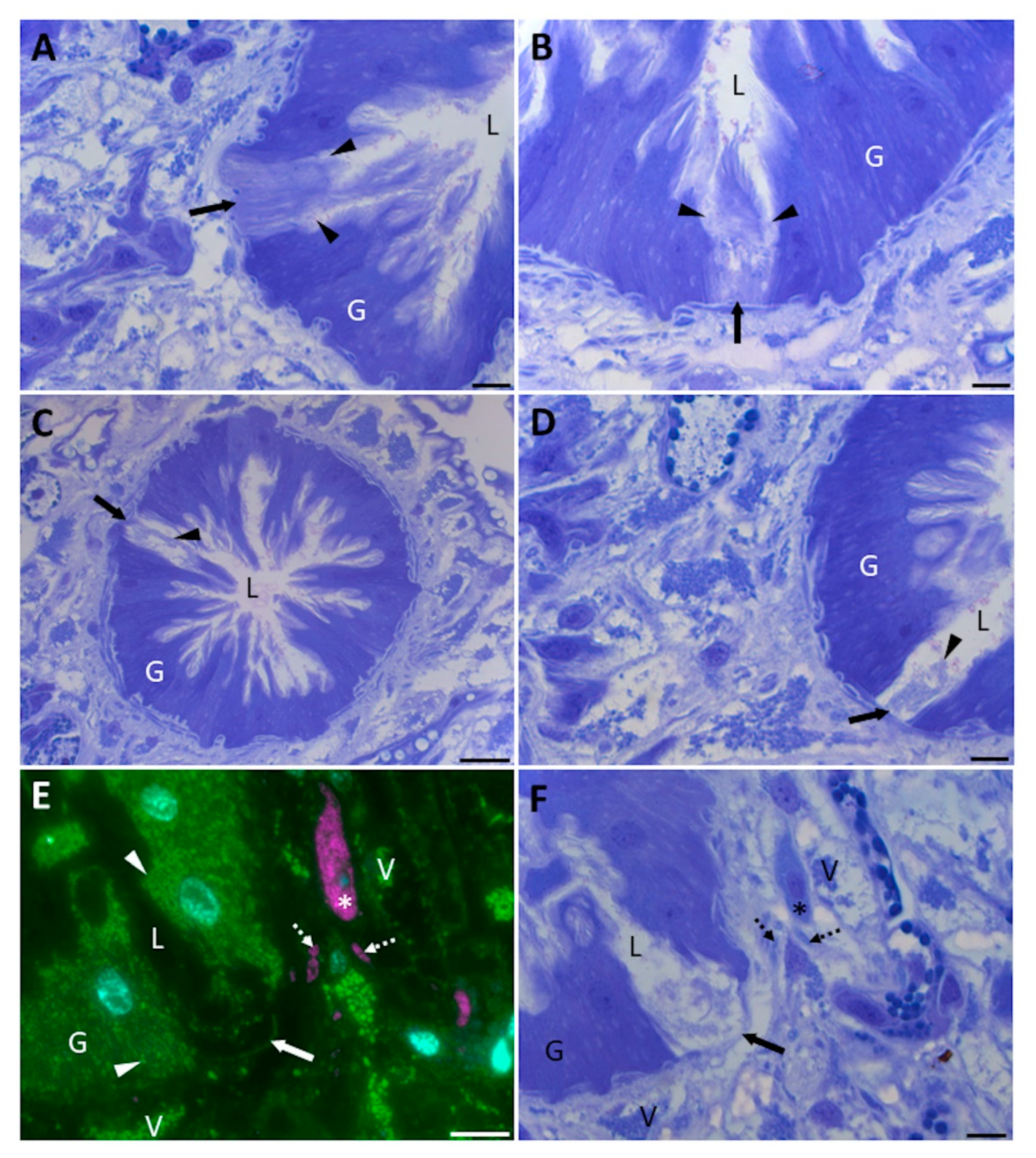 Ijms 23 05525 g002 Ijms 23 05525 g002