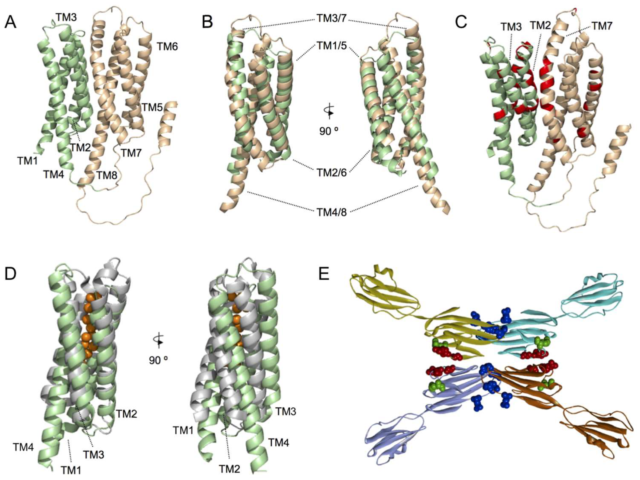 Ijms 23 05528 g001 Ijms 23 05528 g001