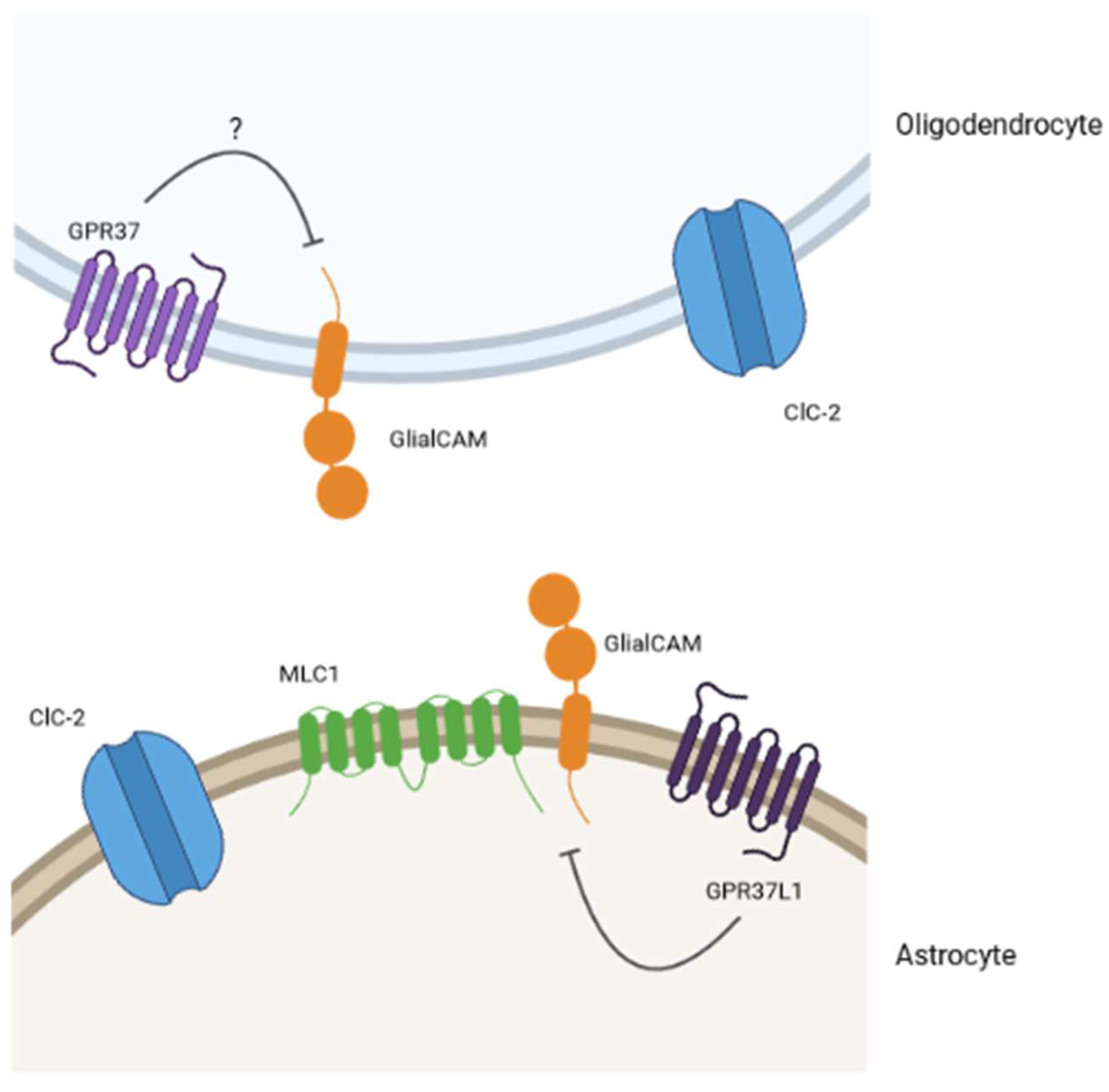 Ijms 23 05528 g004 Ijms 23 05528 g004