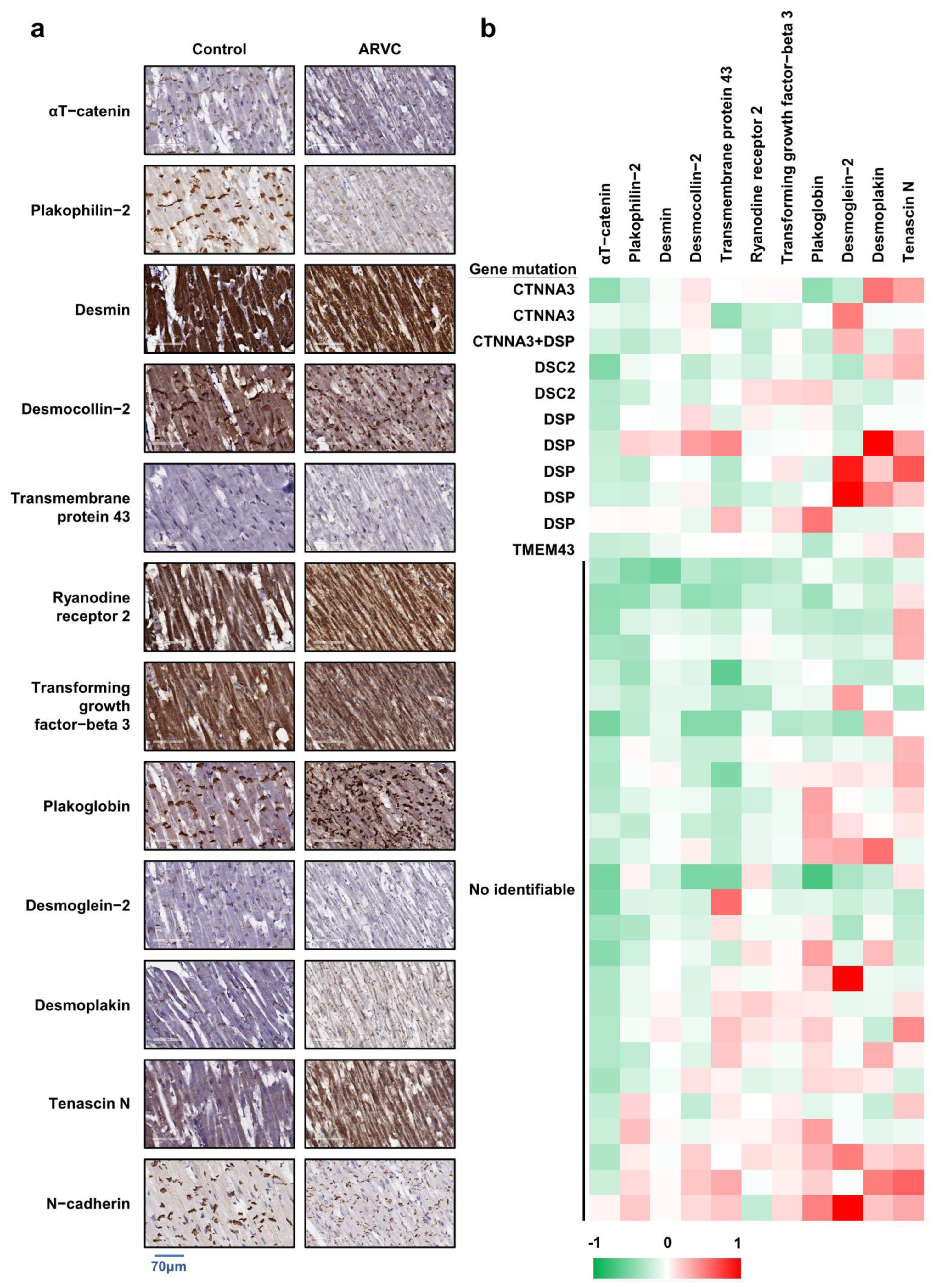 Ijms 23 05529 g001a Ijms 23 05529 g001a