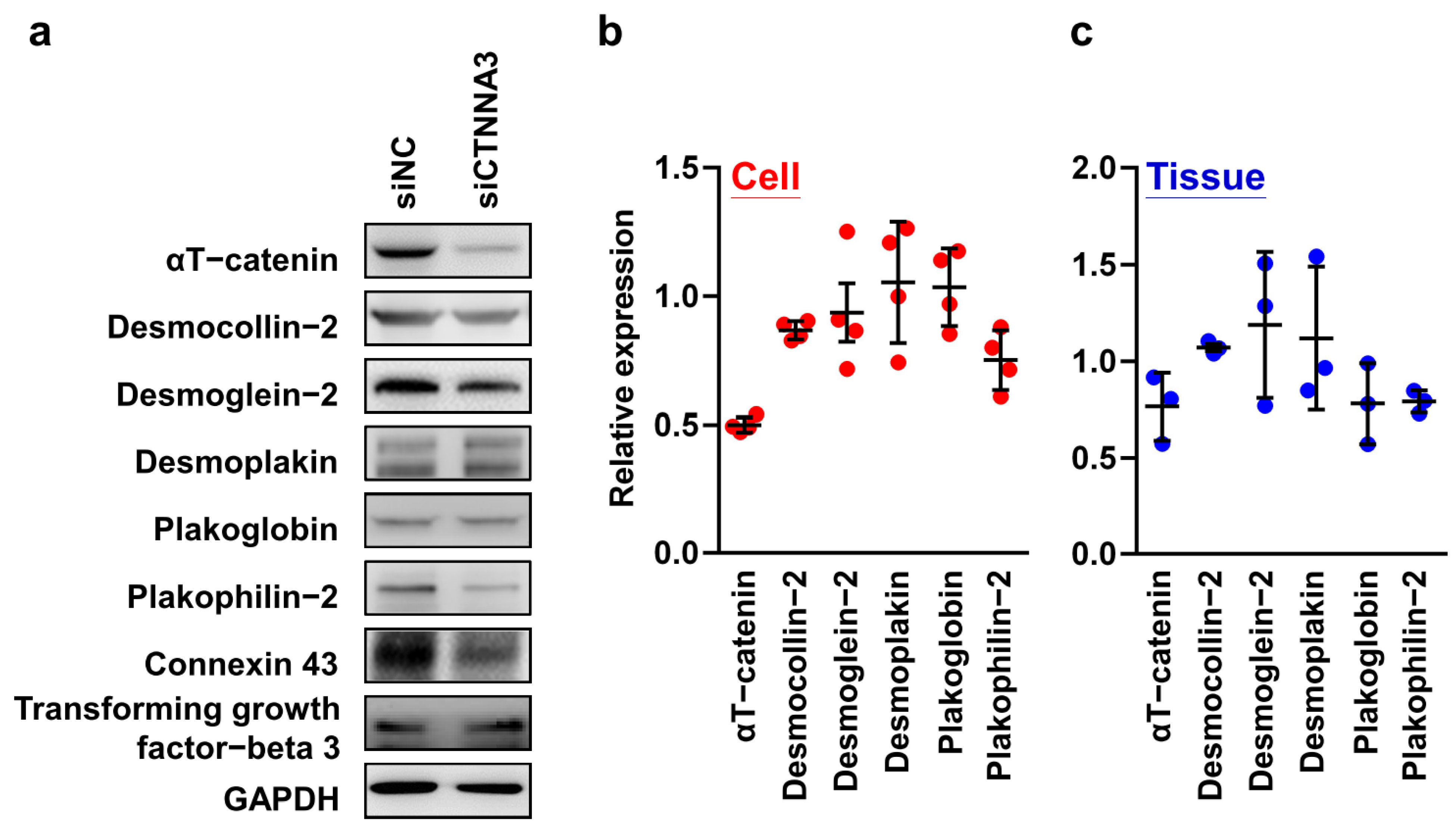 Ijms 23 05529 g003 Ijms 23 05529 g003