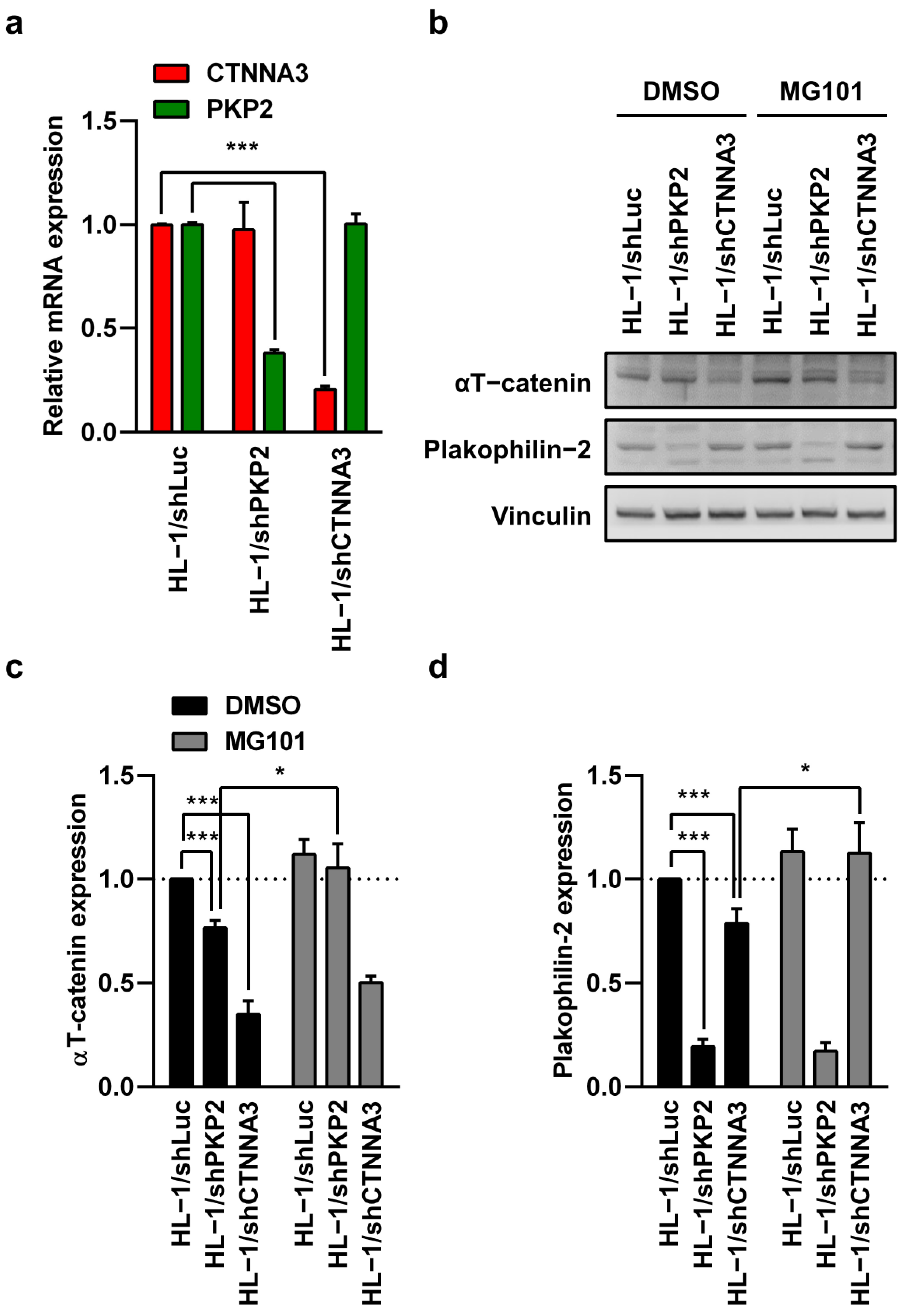 Ijms 23 05529 g004 Ijms 23 05529 g004