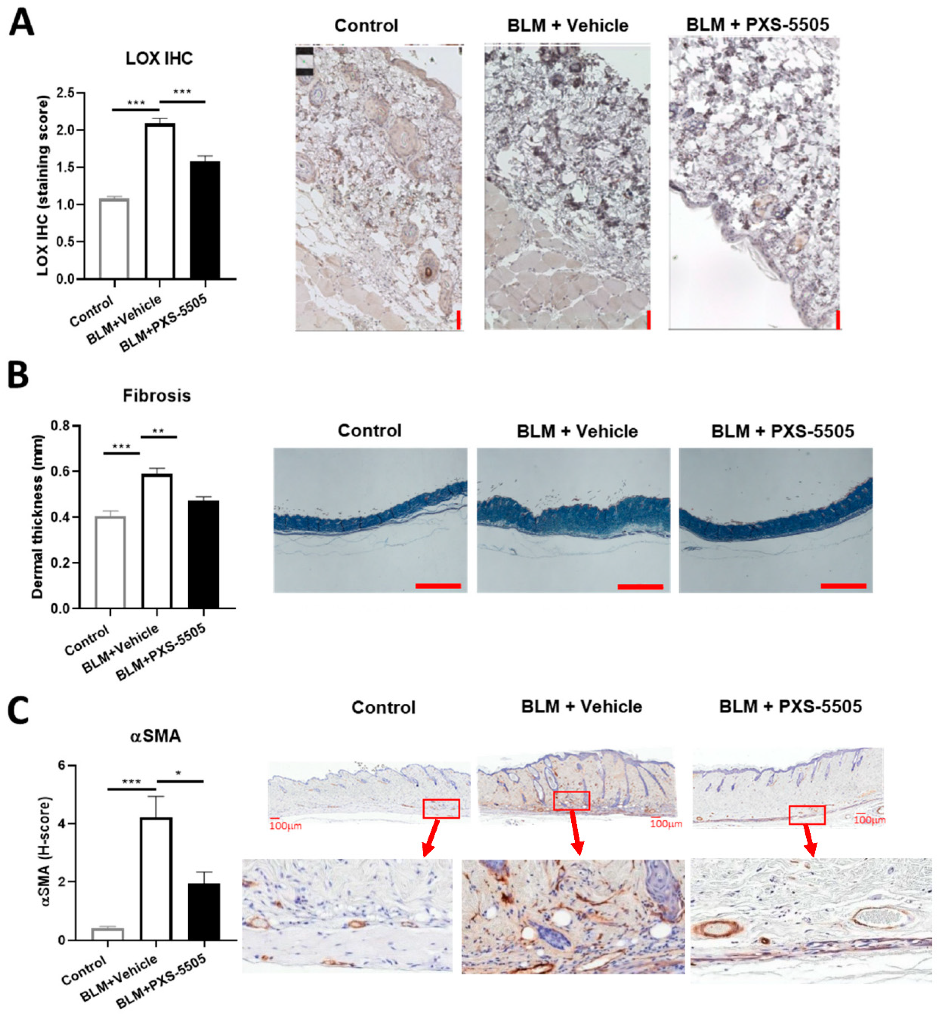 Ijms 23 05533 g002 Ijms 23 05533 g002