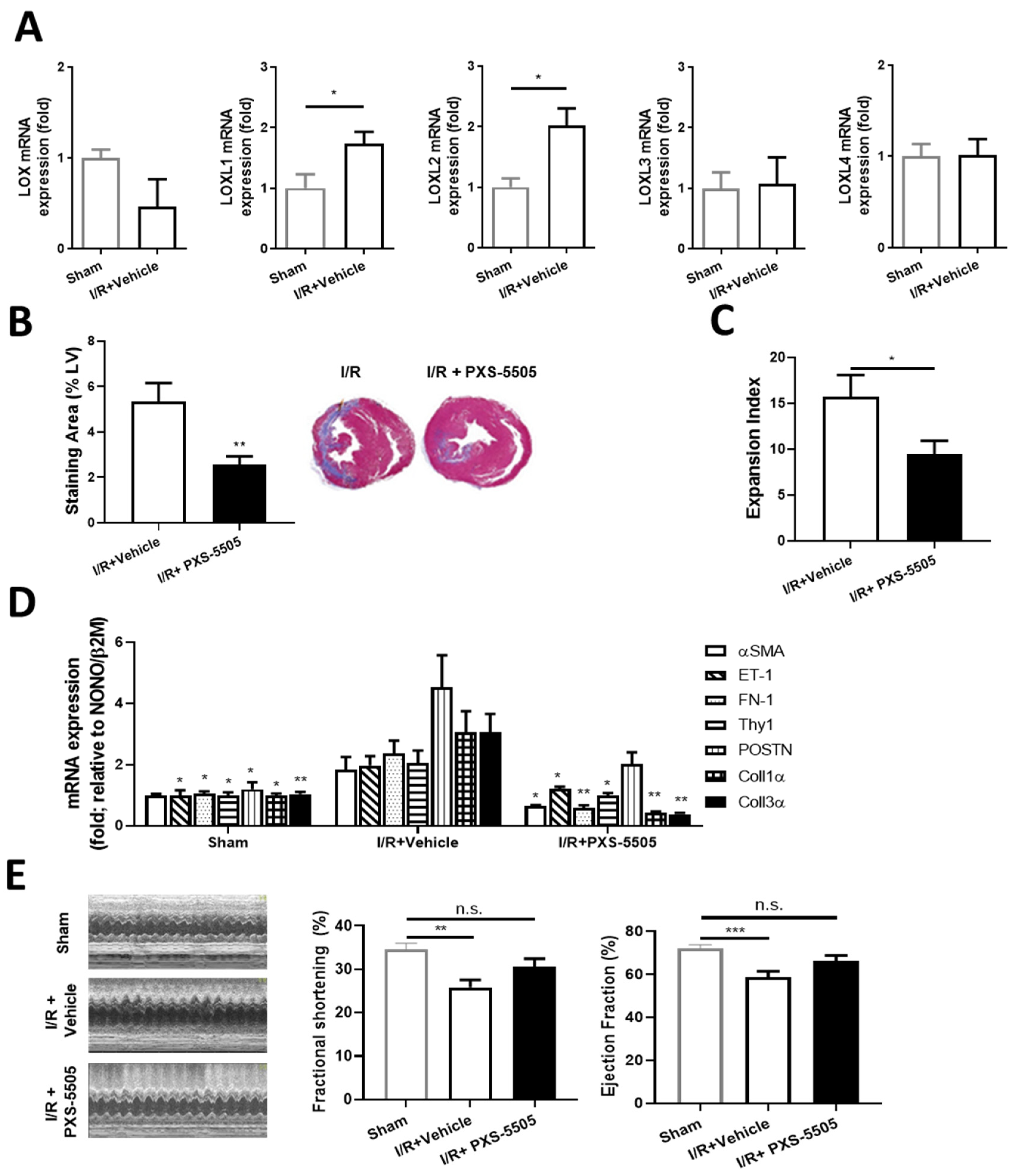 Ijms 23 05533 g005 Ijms 23 05533 g005