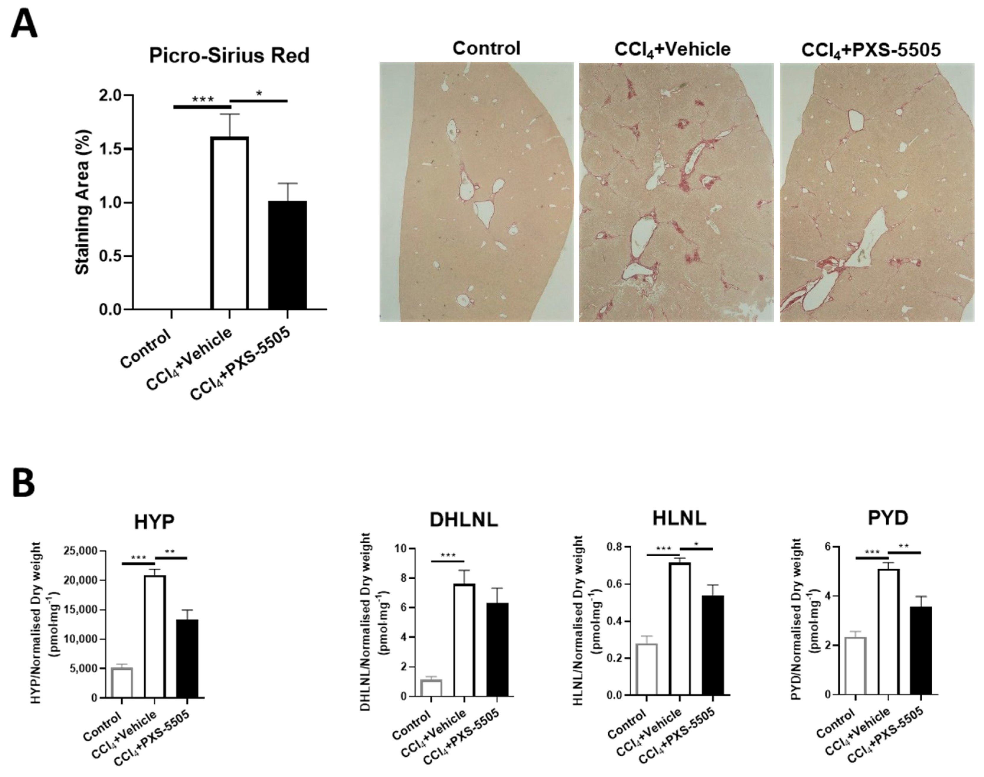 Ijms 23 05533 g007 Ijms 23 05533 g007