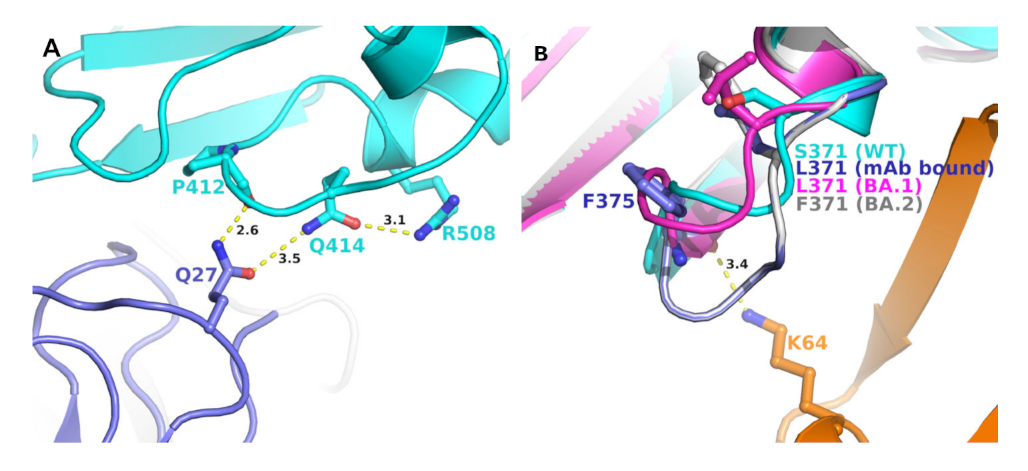 Ijms 23 05534 g004 550