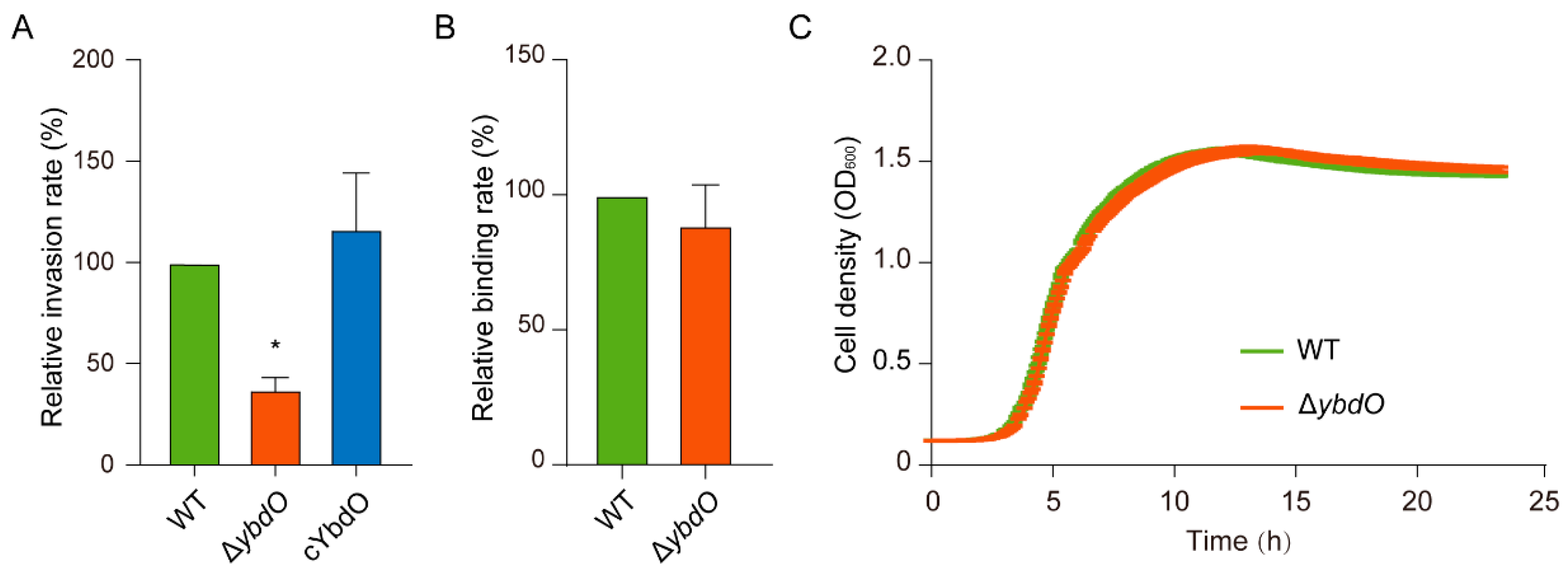 Ijms 23 05543 g002 Ijms 23 05543 g002