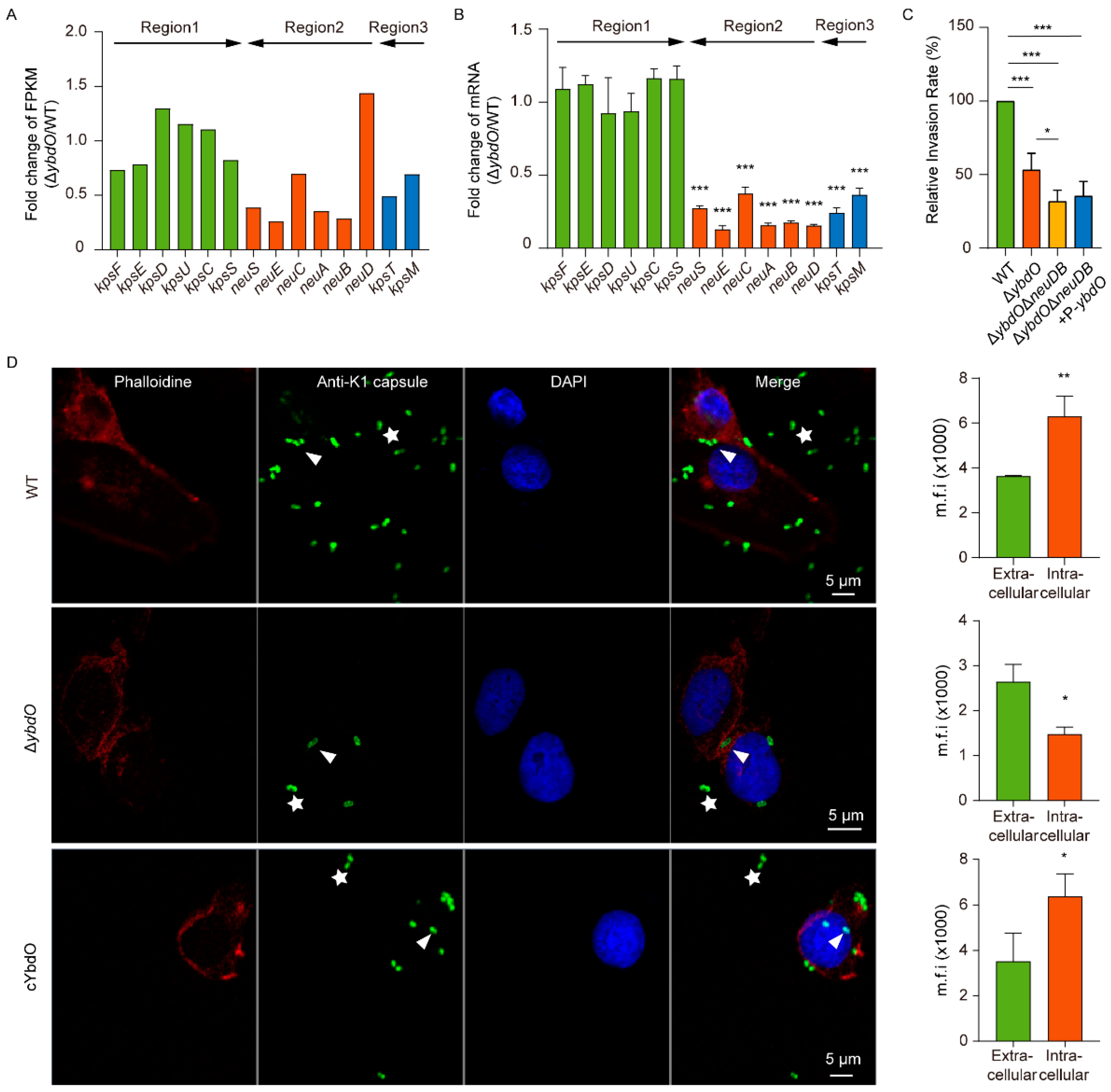 Ijms 23 05543 g004 Ijms 23 05543 g004