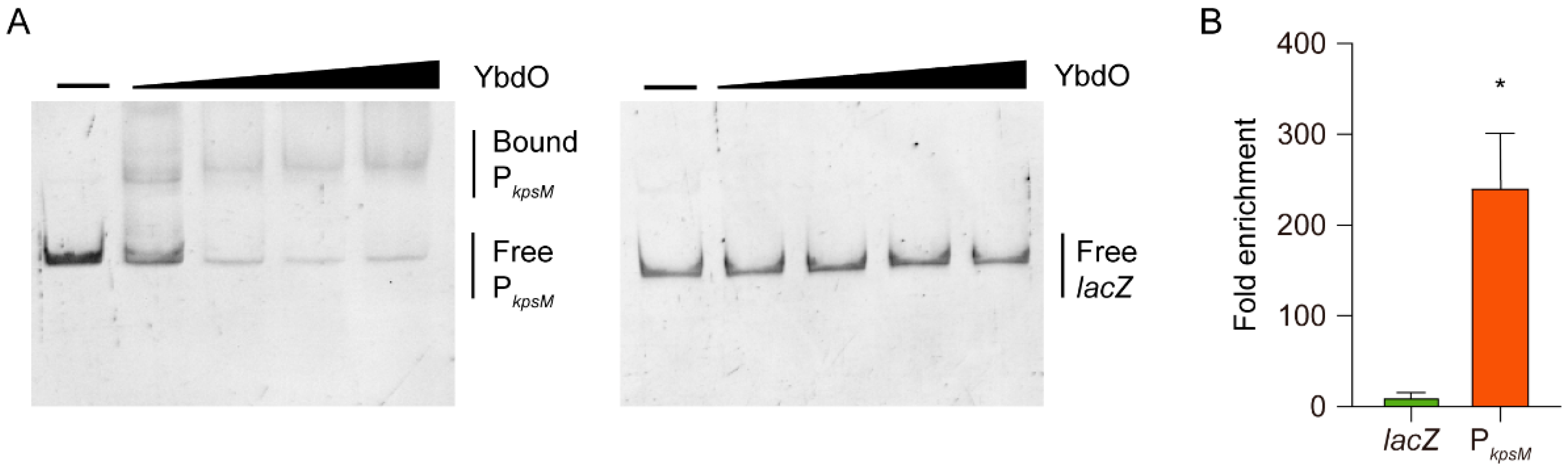 Ijms 23 05543 g005 Ijms 23 05543 g005