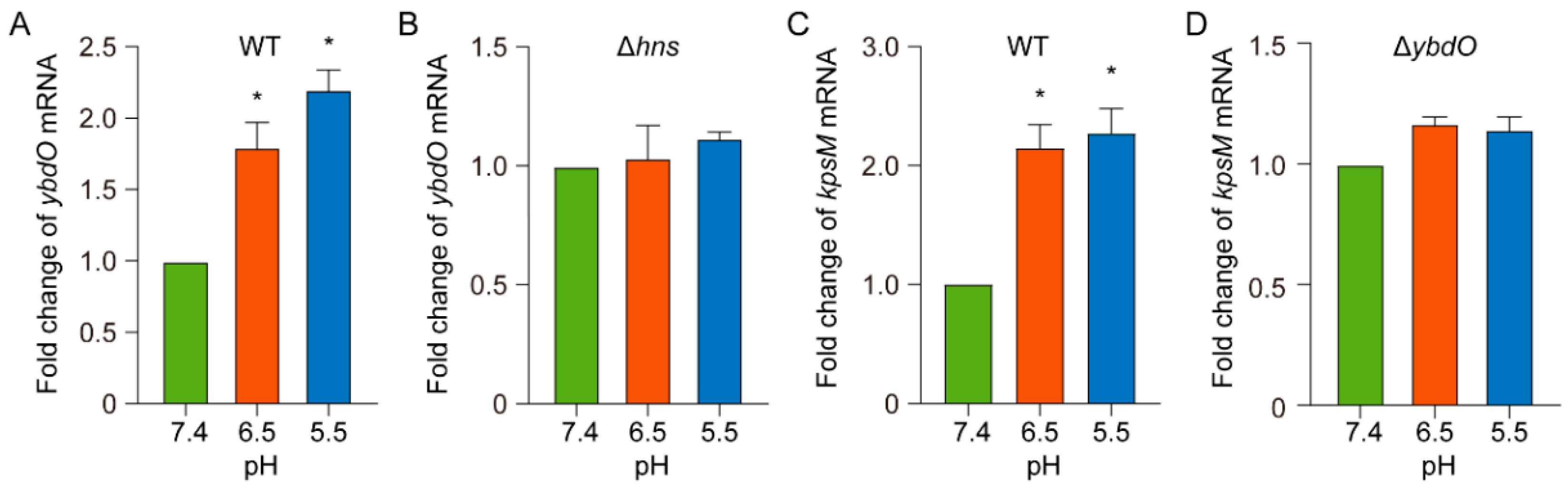 Ijms 23 05543 g007 Ijms 23 05543 g007