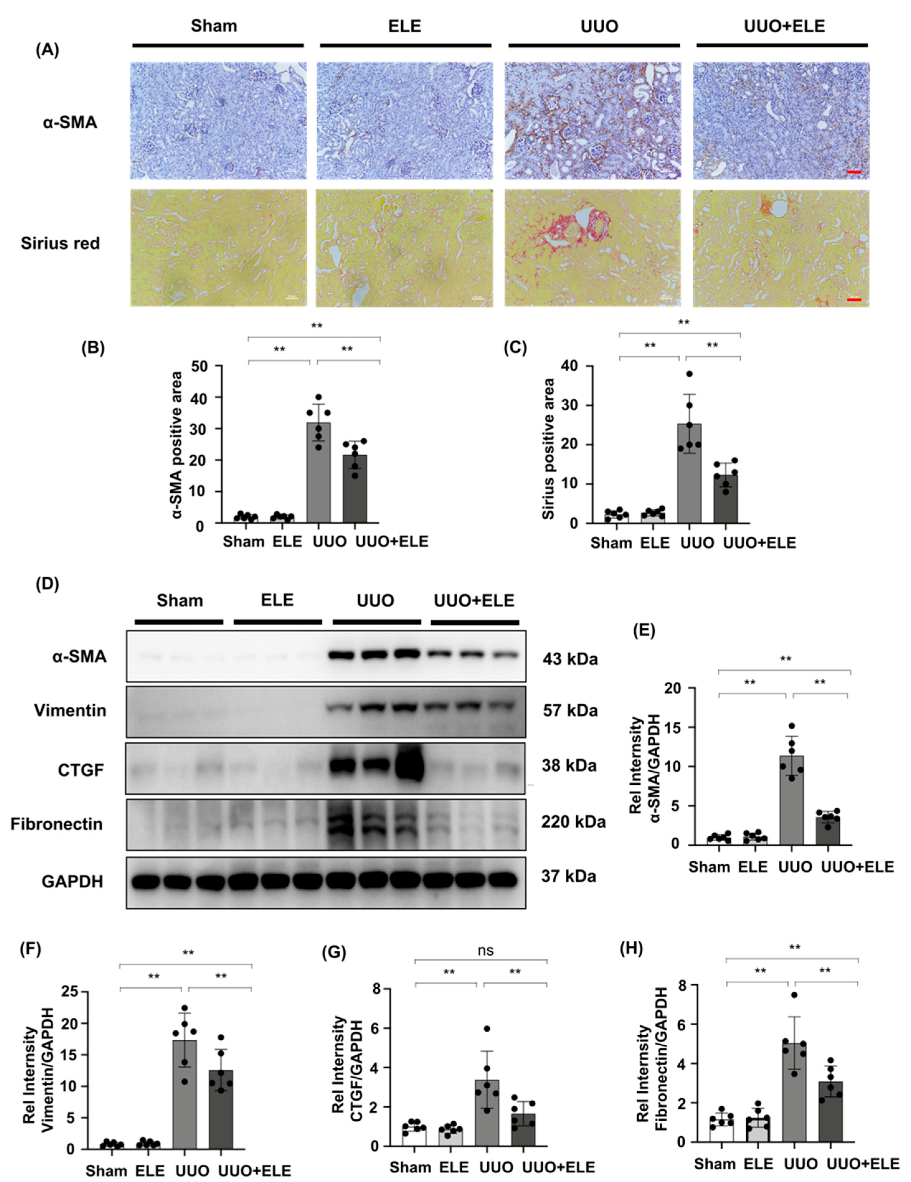 Ijms 23 05553 g002 550