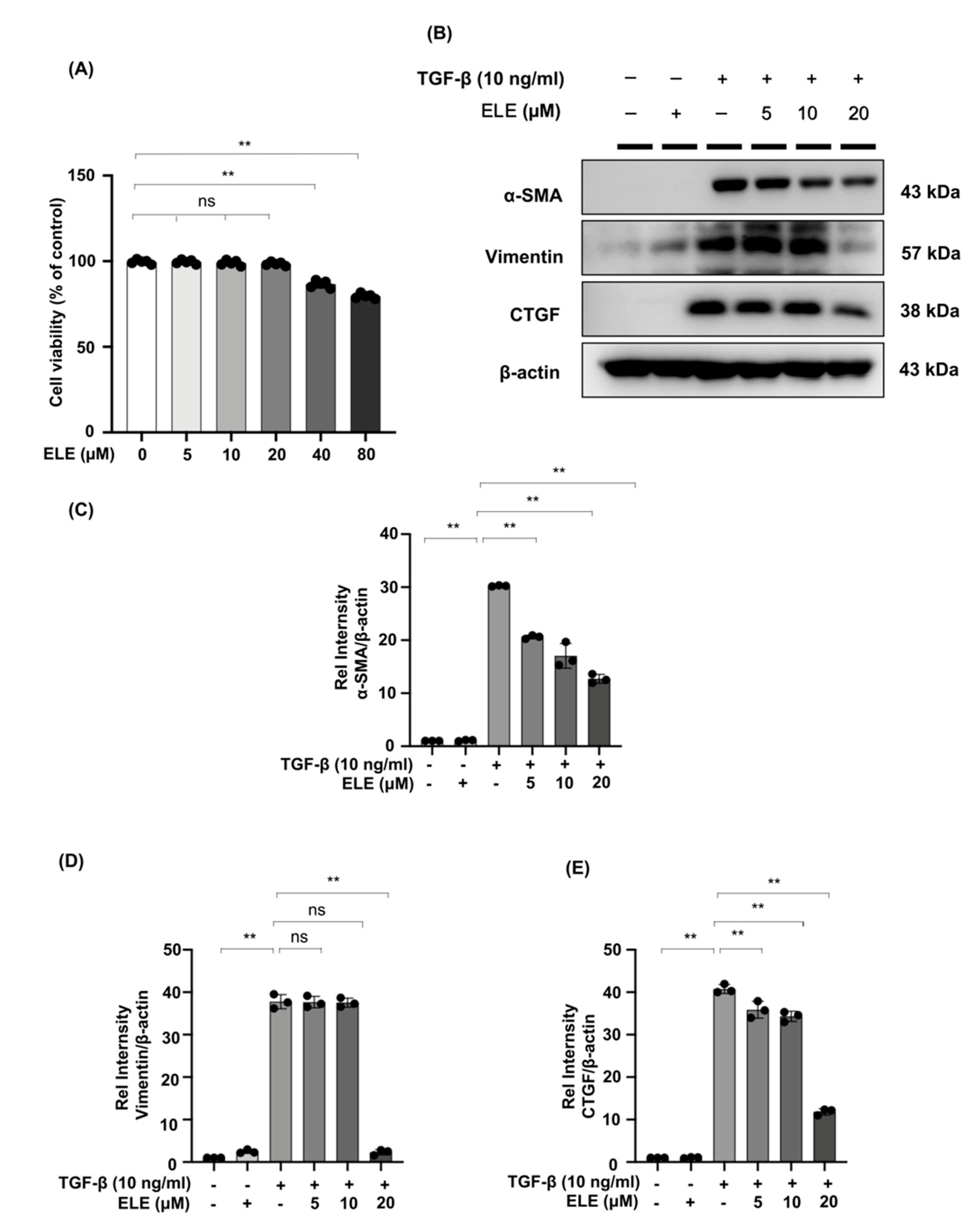 Ijms 23 05553 g003 550