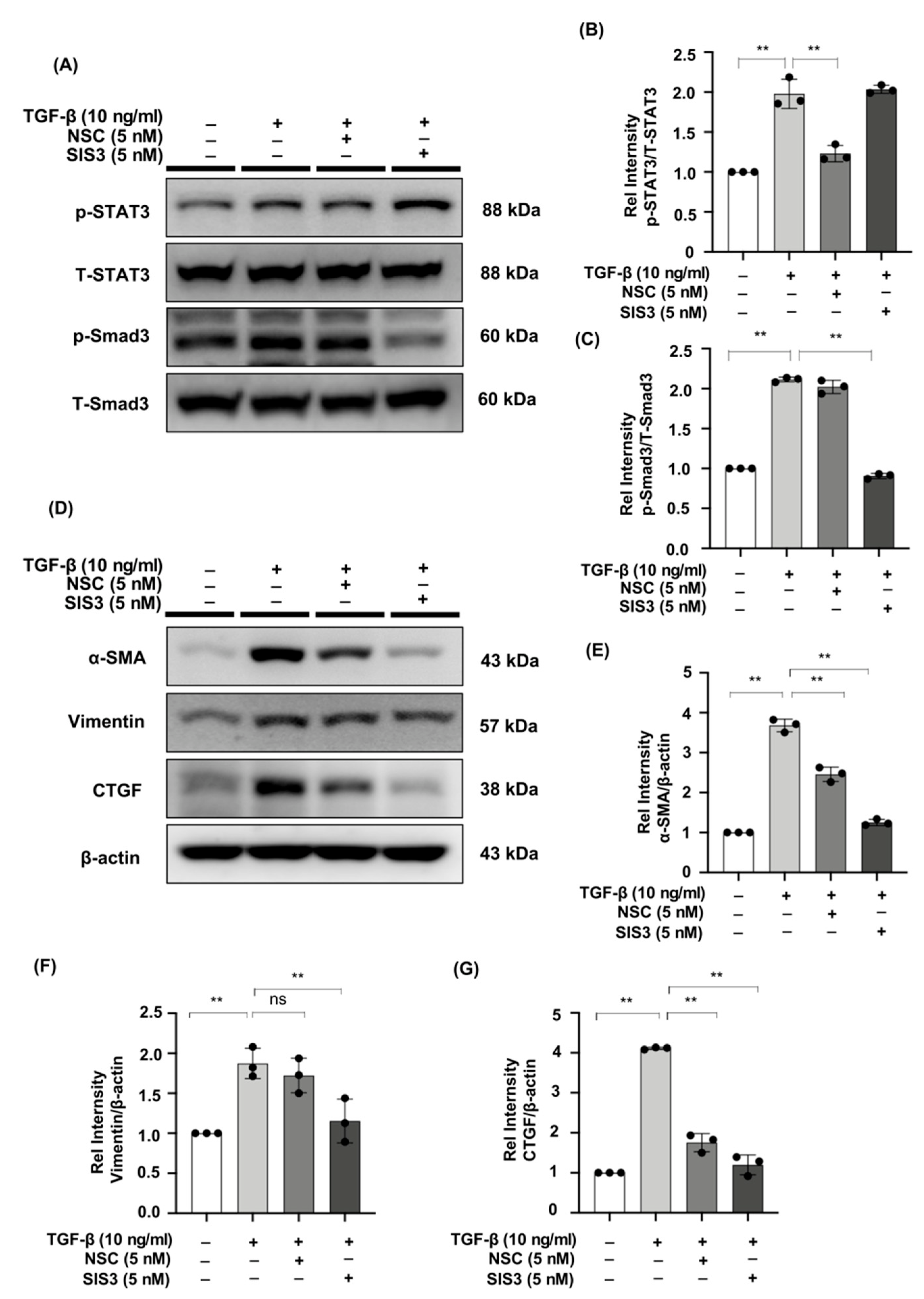 Ijms 23 05553 g006 550