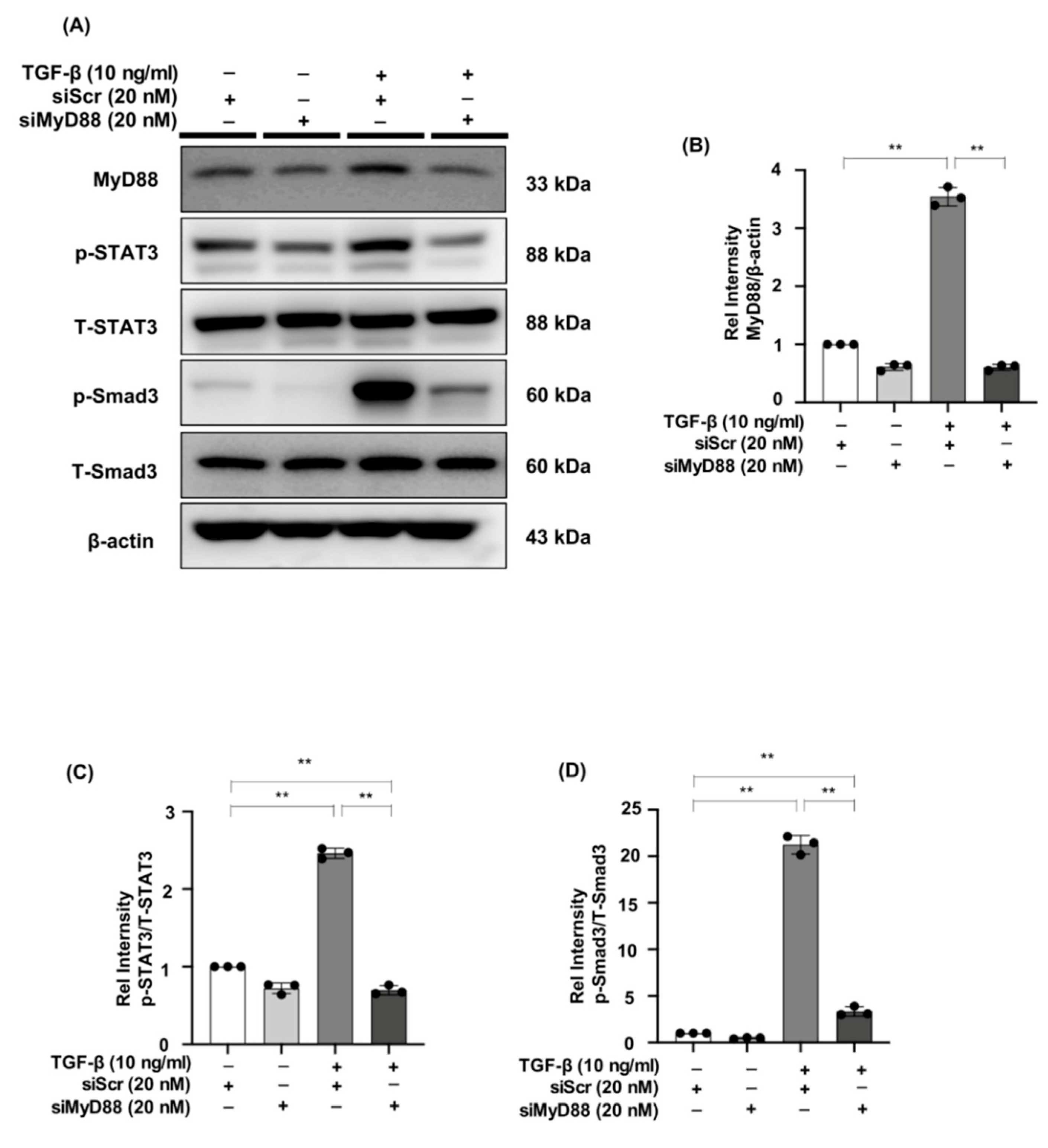 Ijms 23 05553 g007 550