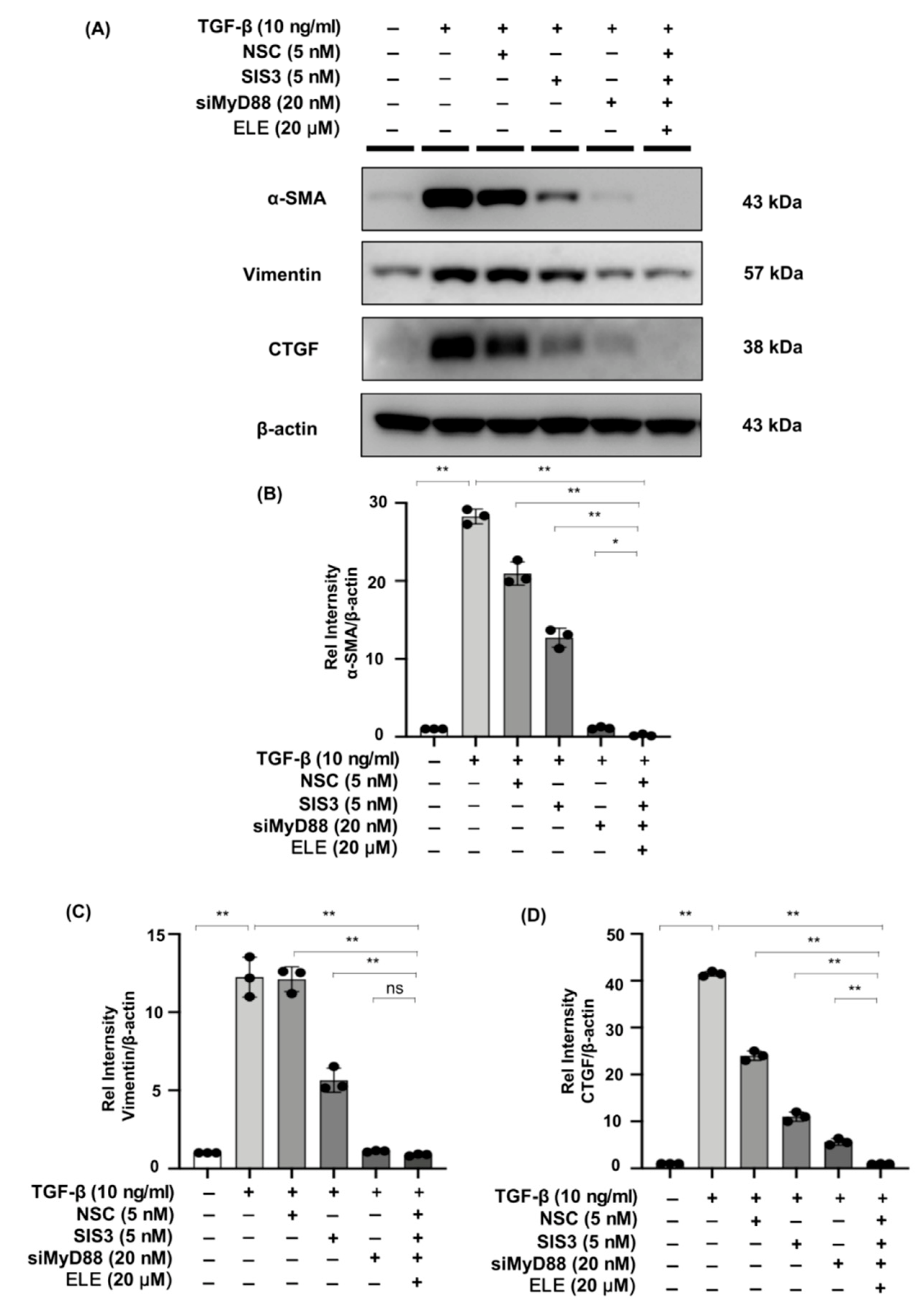 Ijms 23 05553 g008 550